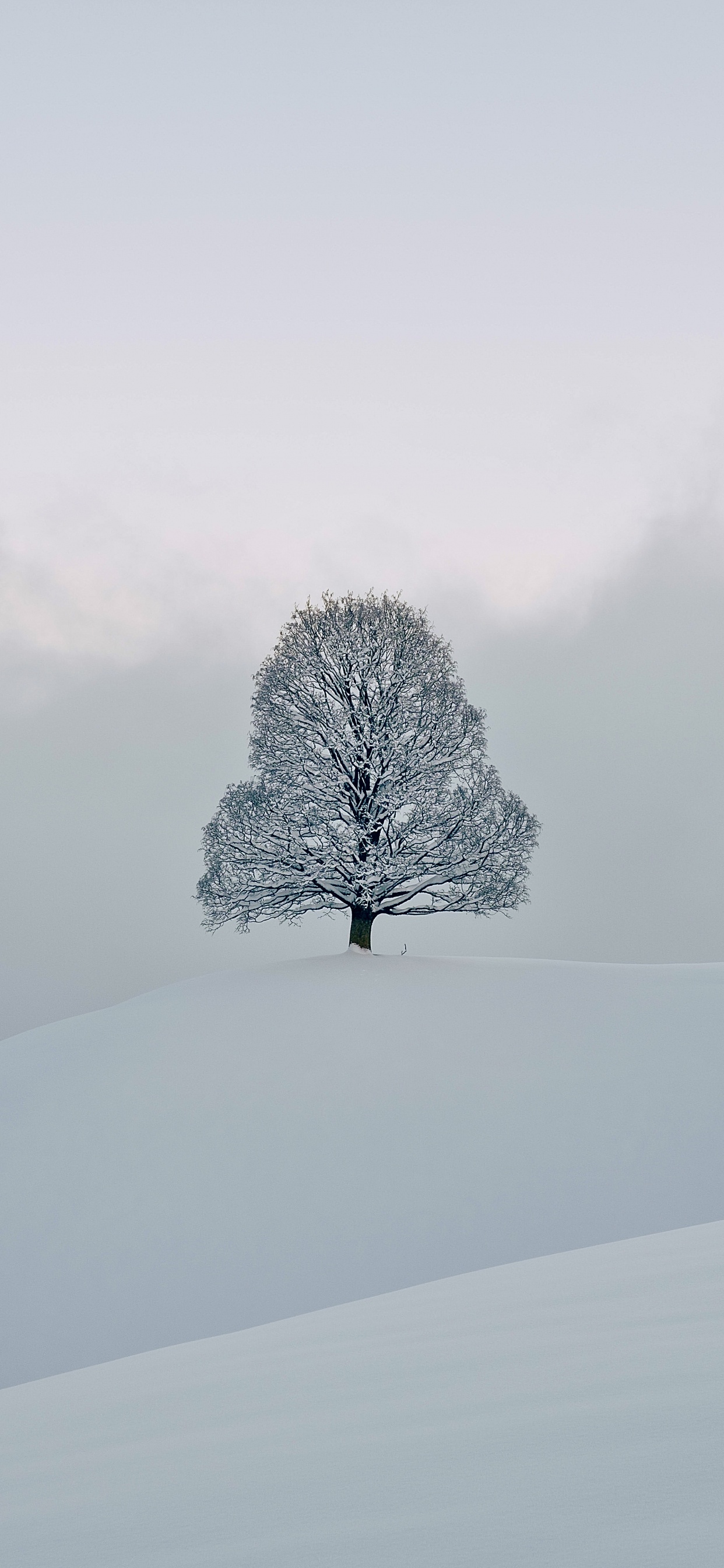 Snow, Freezing, Winter, Chemistry, Natural Landscape. Wallpaper in 1242x2688 Resolution