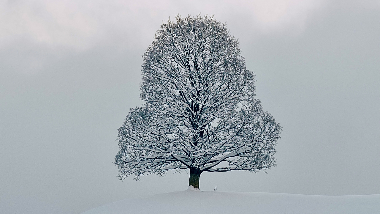Snow, Freezing, Winter, Chemistry, Natural Landscape. Wallpaper in 1280x720 Resolution