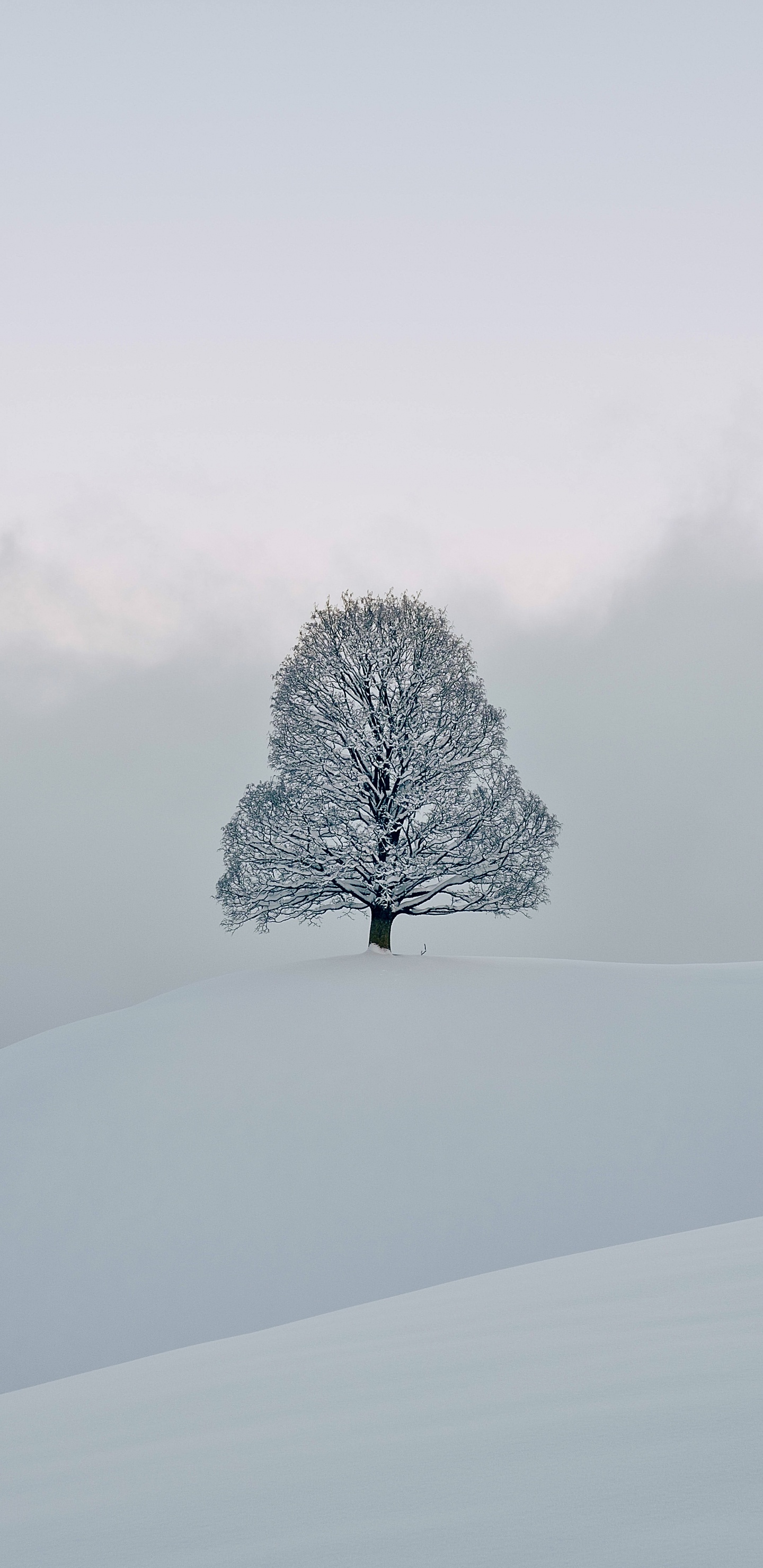 Snow, Freezing, Winter, Chemistry, Natural Landscape. Wallpaper in 1440x2960 Resolution