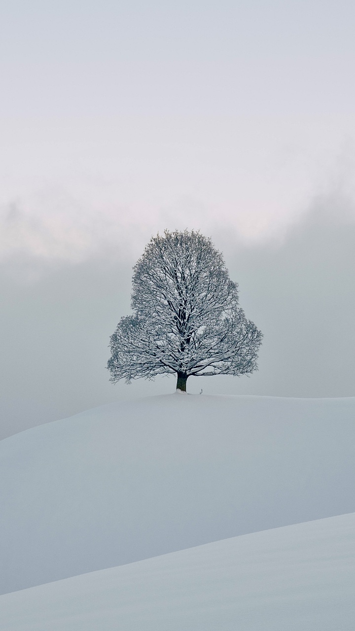 Snow, Freezing, Winter, Chemistry, Natural Landscape. Wallpaper in 720x1280 Resolution