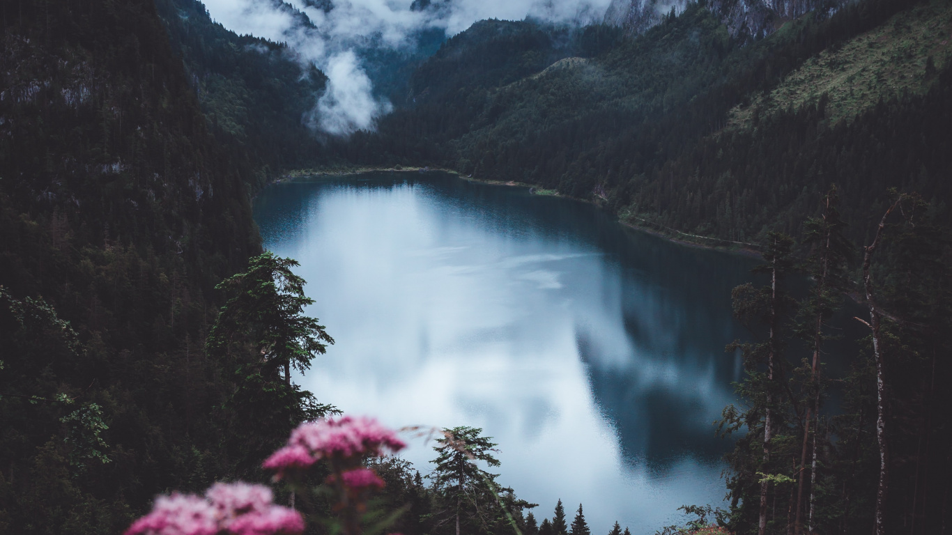 Flores Del Lago Antisalpicaduras, Montaña, Agua, Luz, Naturaleza. Wallpaper in 1366x768 Resolution