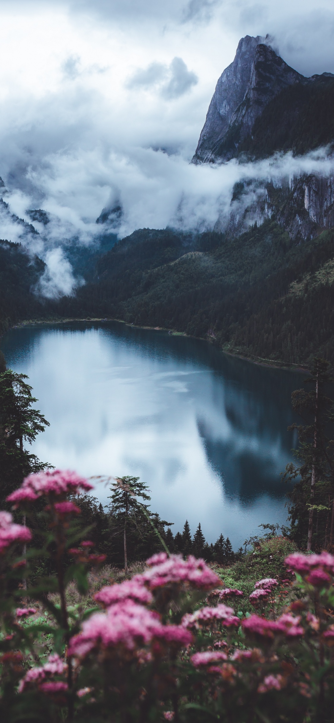 Lake Flowers Unsplash, Flower, Cloud, Mountain, Water. Wallpaper in 1125x2436 Resolution
