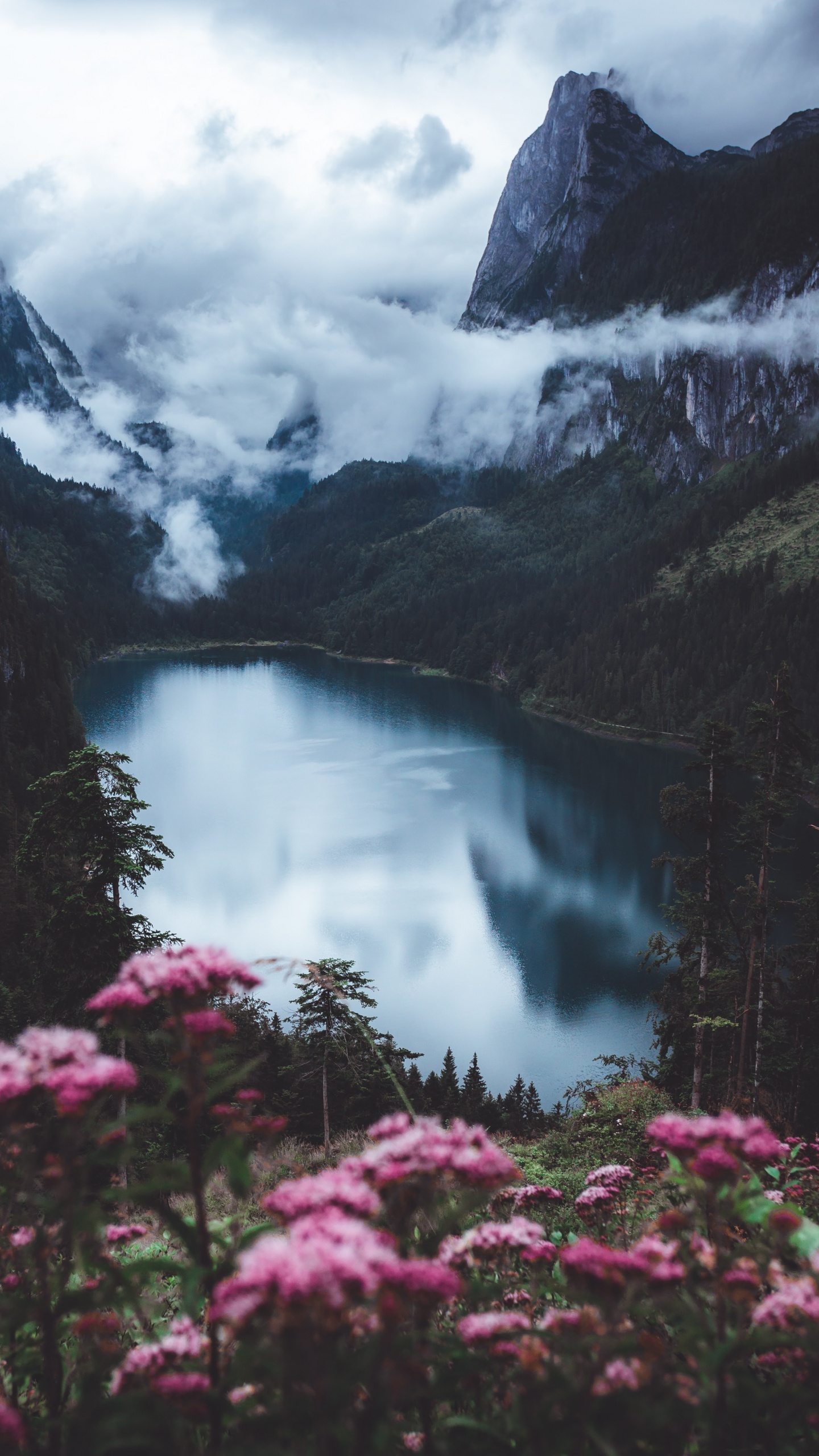 Seeblumen Unsplash, Cloud, Wasser, Licht, Natur. Wallpaper in 1440x2560 Resolution