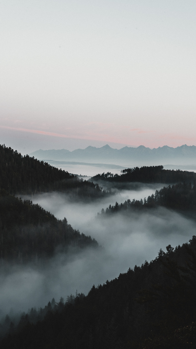 Mist, Water, Fog, Morning, Natural Landscape. Wallpaper in 750x1334 Resolution