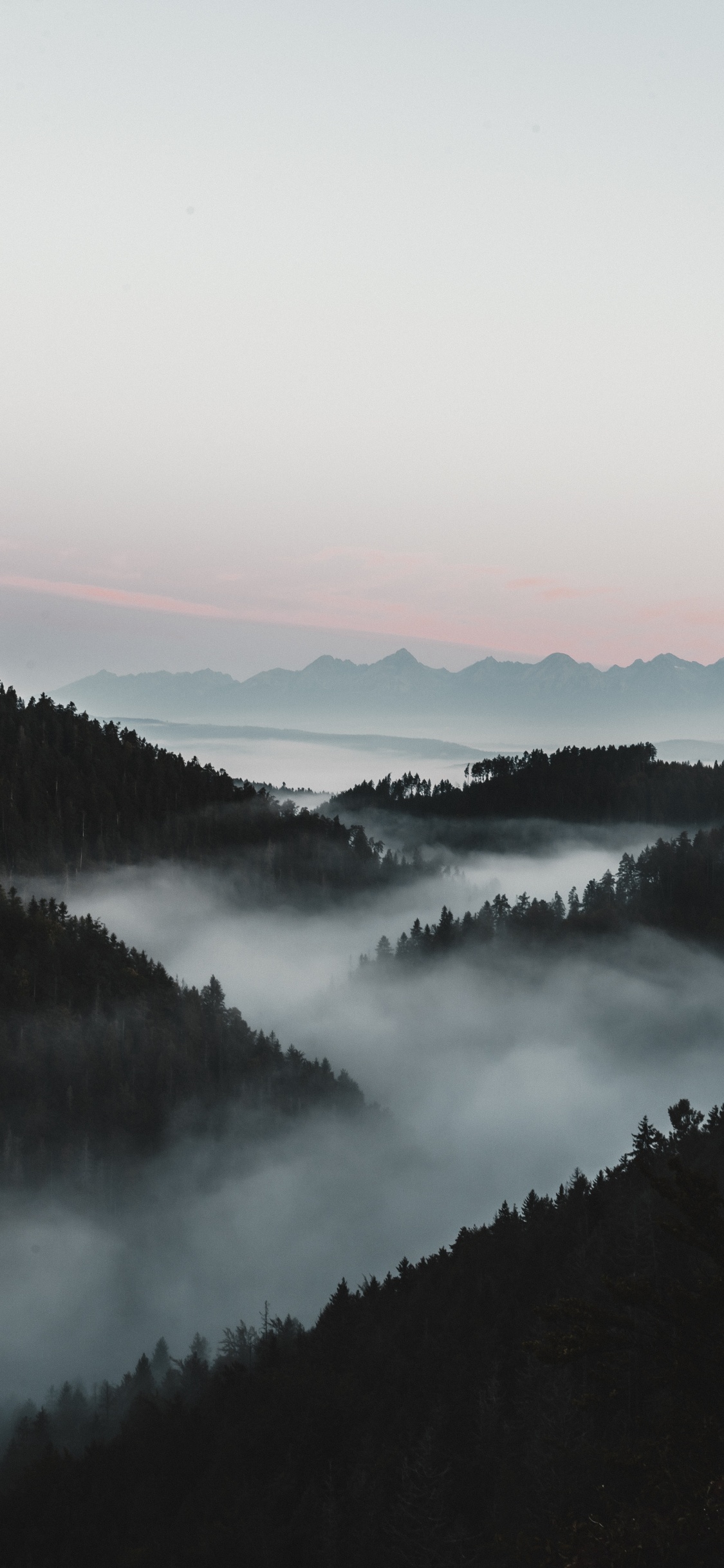 雾, 早上, 自然景观, 反射, 高地 壁纸 1125x2436 允许