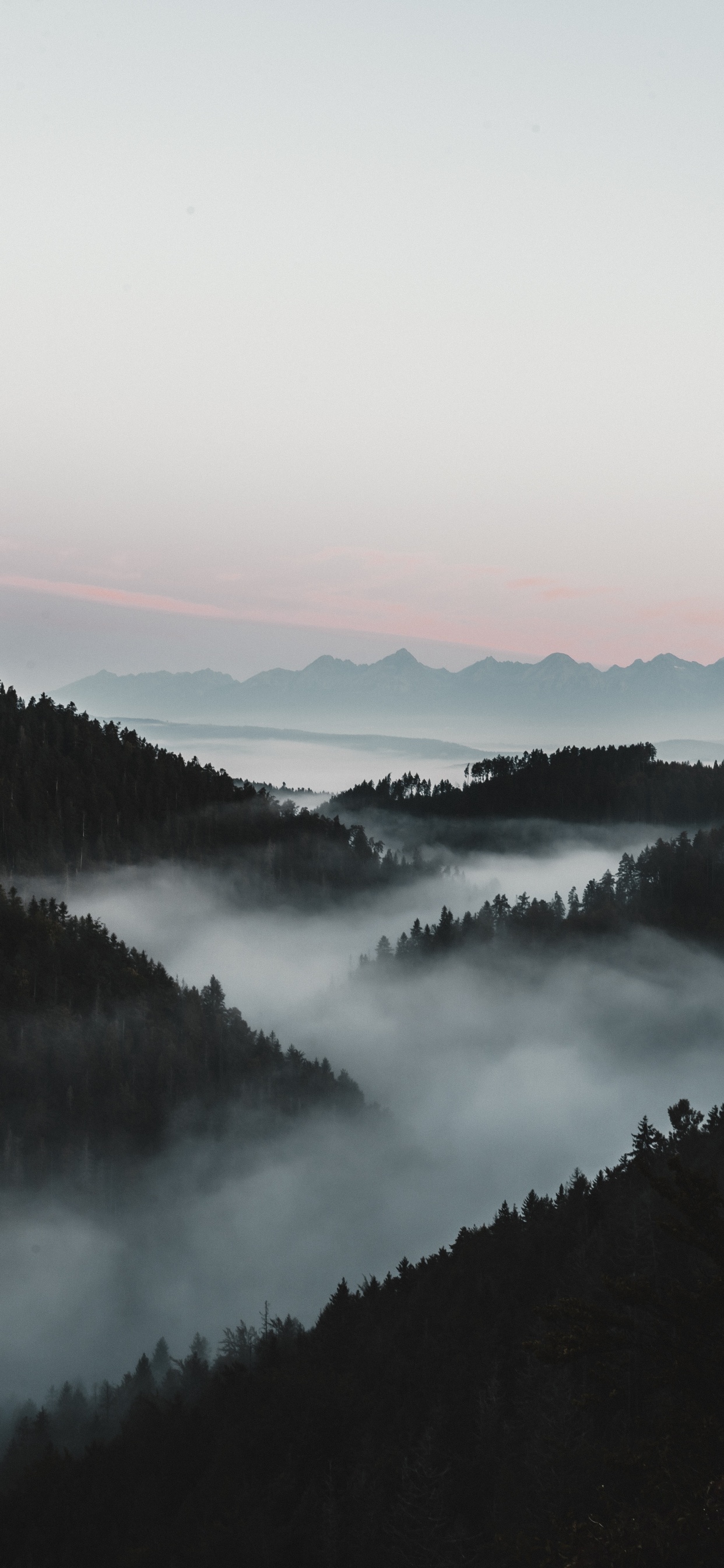 雾, 早上, 自然景观, 反射, 高地 壁纸 1242x2688 允许