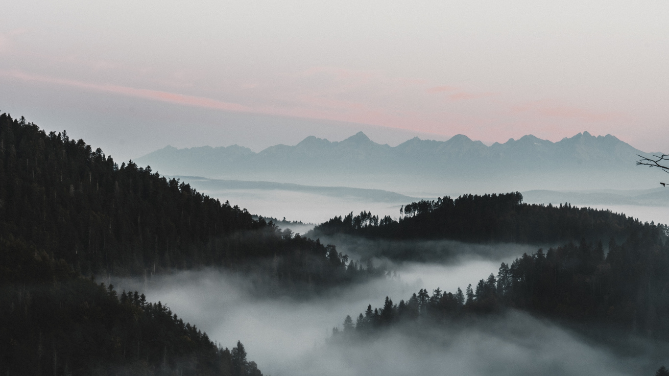 雾, 早上, 自然景观, 反射, 高地 壁纸 1366x768 允许