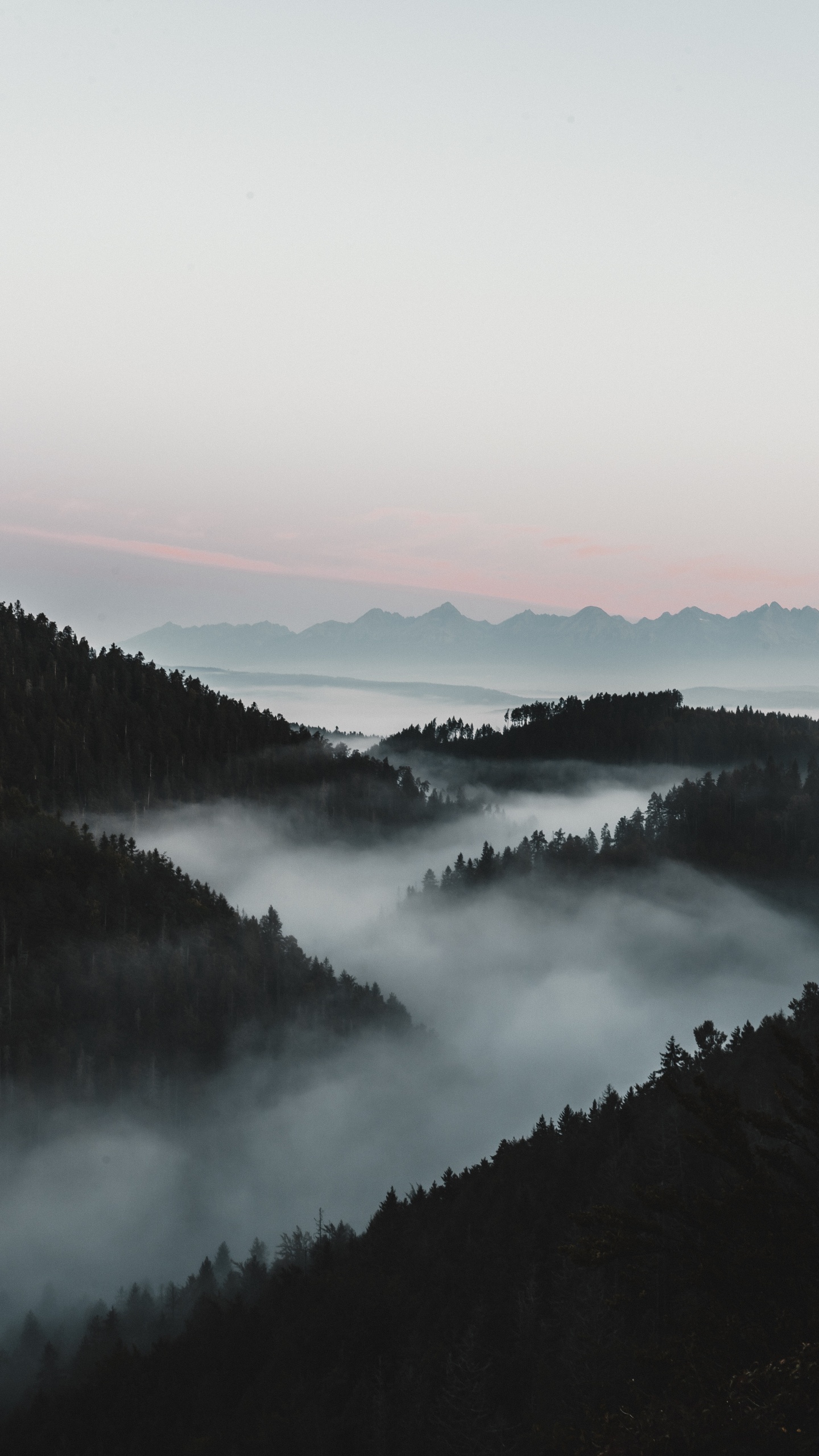 雾, 早上, 自然景观, 反射, 高地 壁纸 1440x2560 允许