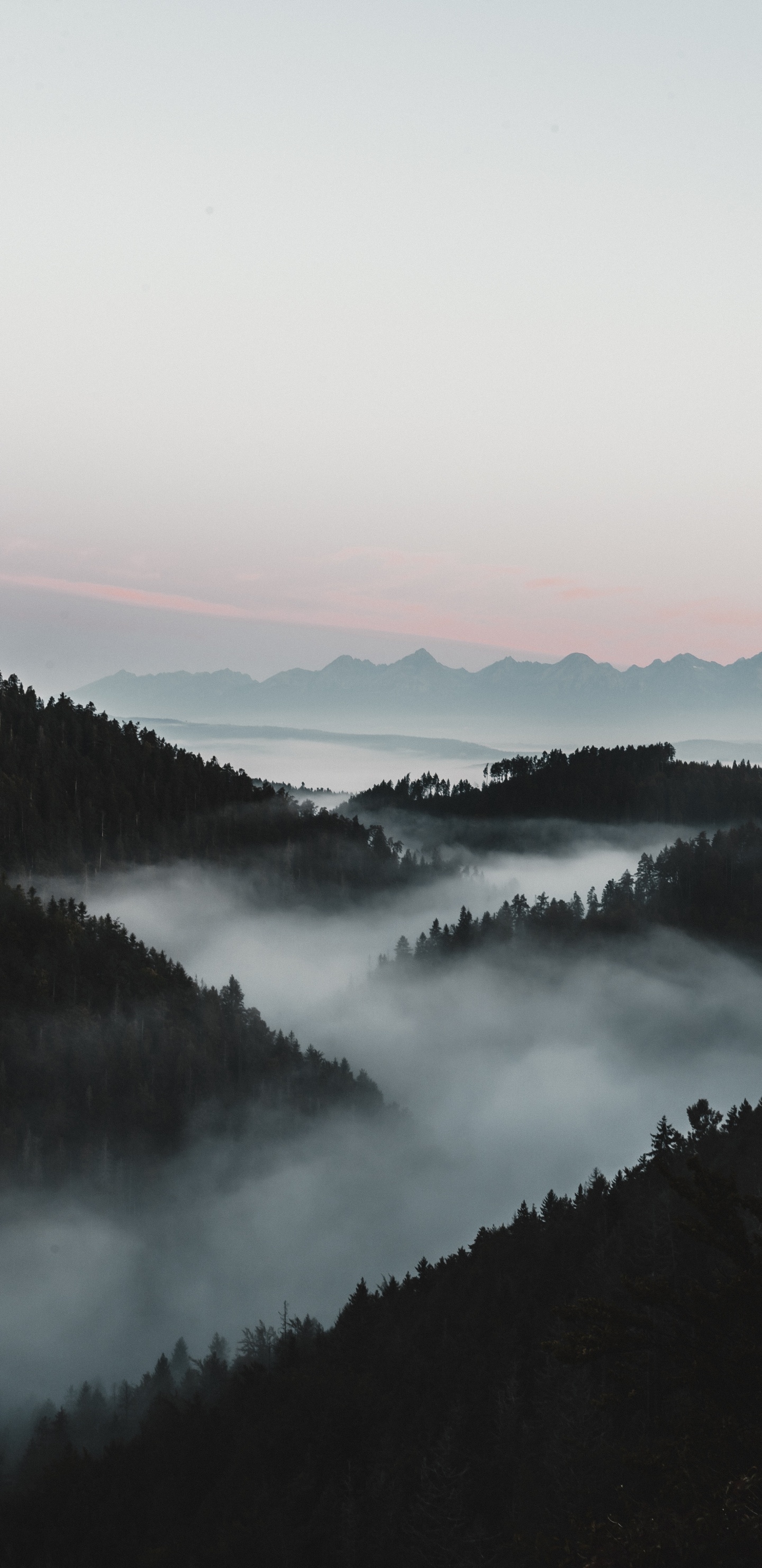 雾, 早上, 自然景观, 反射, 高地 壁纸 1440x2960 允许