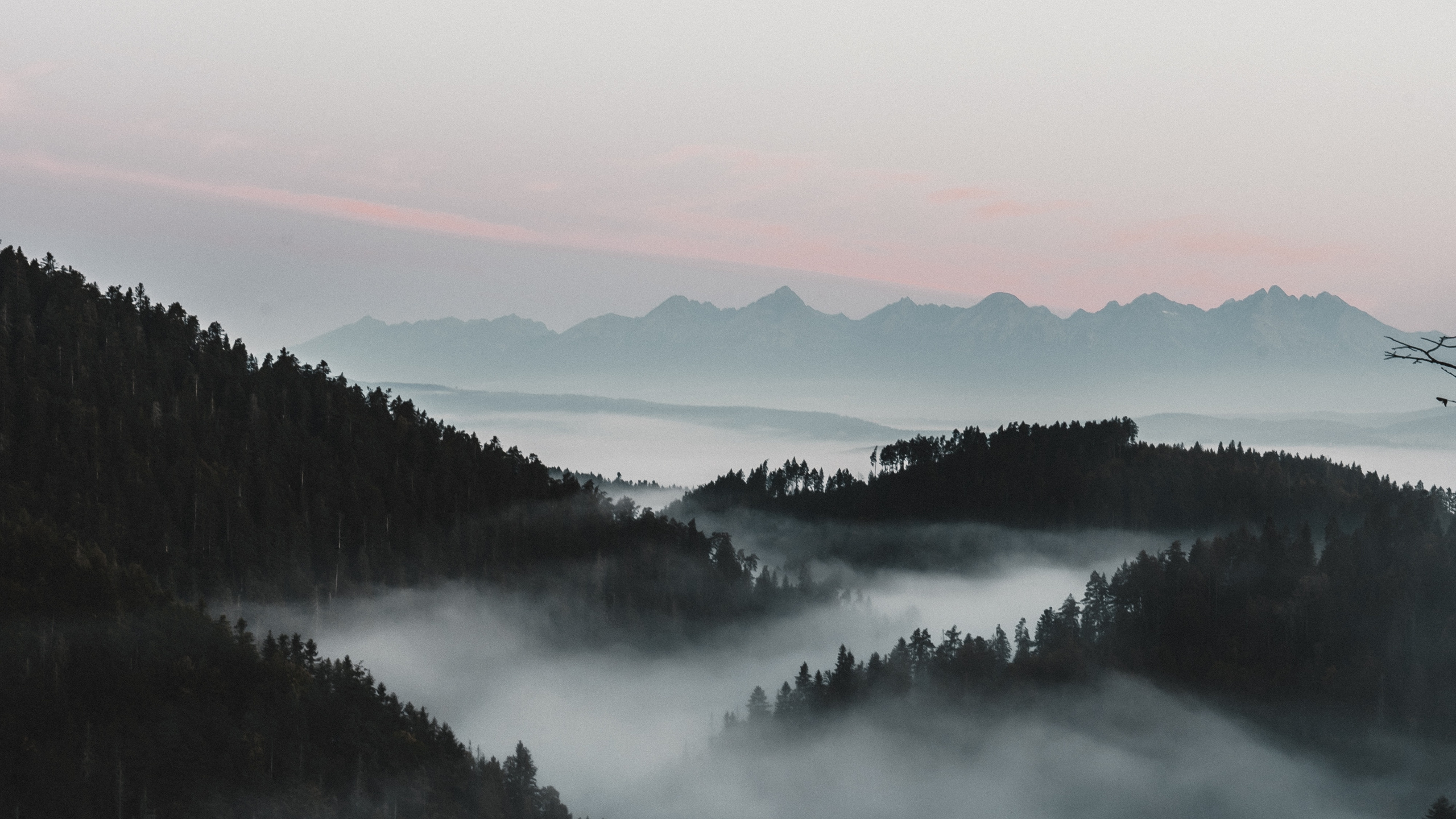 雾, 早上, 自然景观, 反射, 高地 壁纸 2560x1440 允许