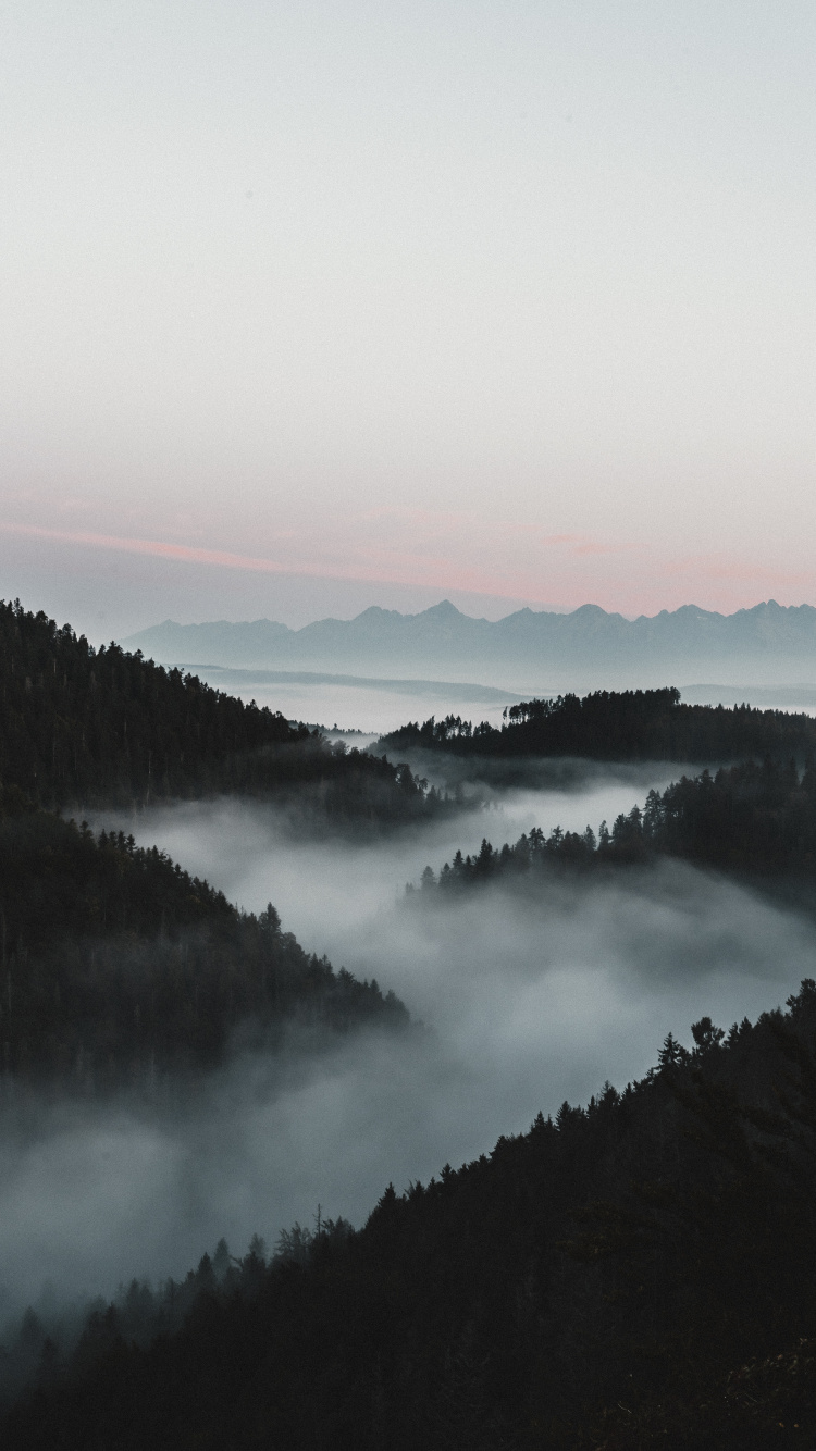 Wasser, Nebel, Morgen, Naturlandschaft, Cloud. Wallpaper in 750x1334 Resolution