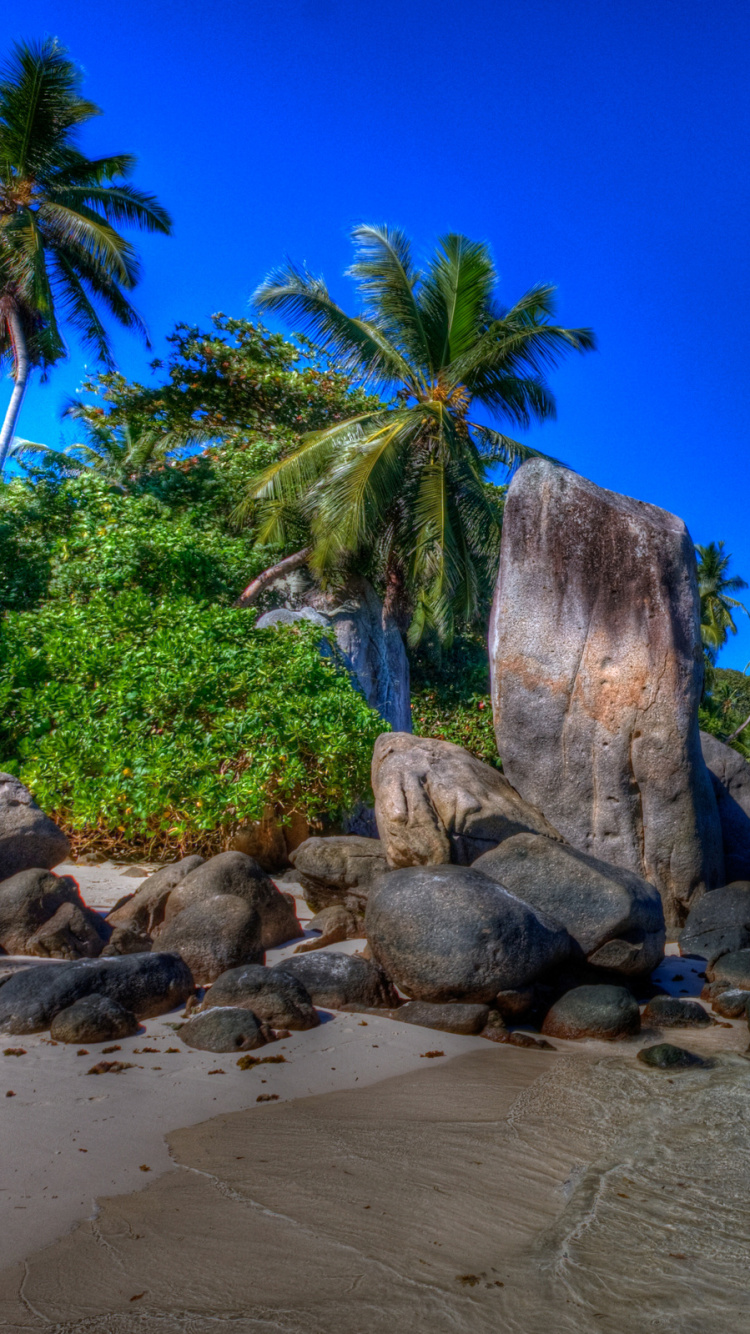 Gray and Brown Rock Formation on Sea Shore During Daytime. Wallpaper in 750x1334 Resolution