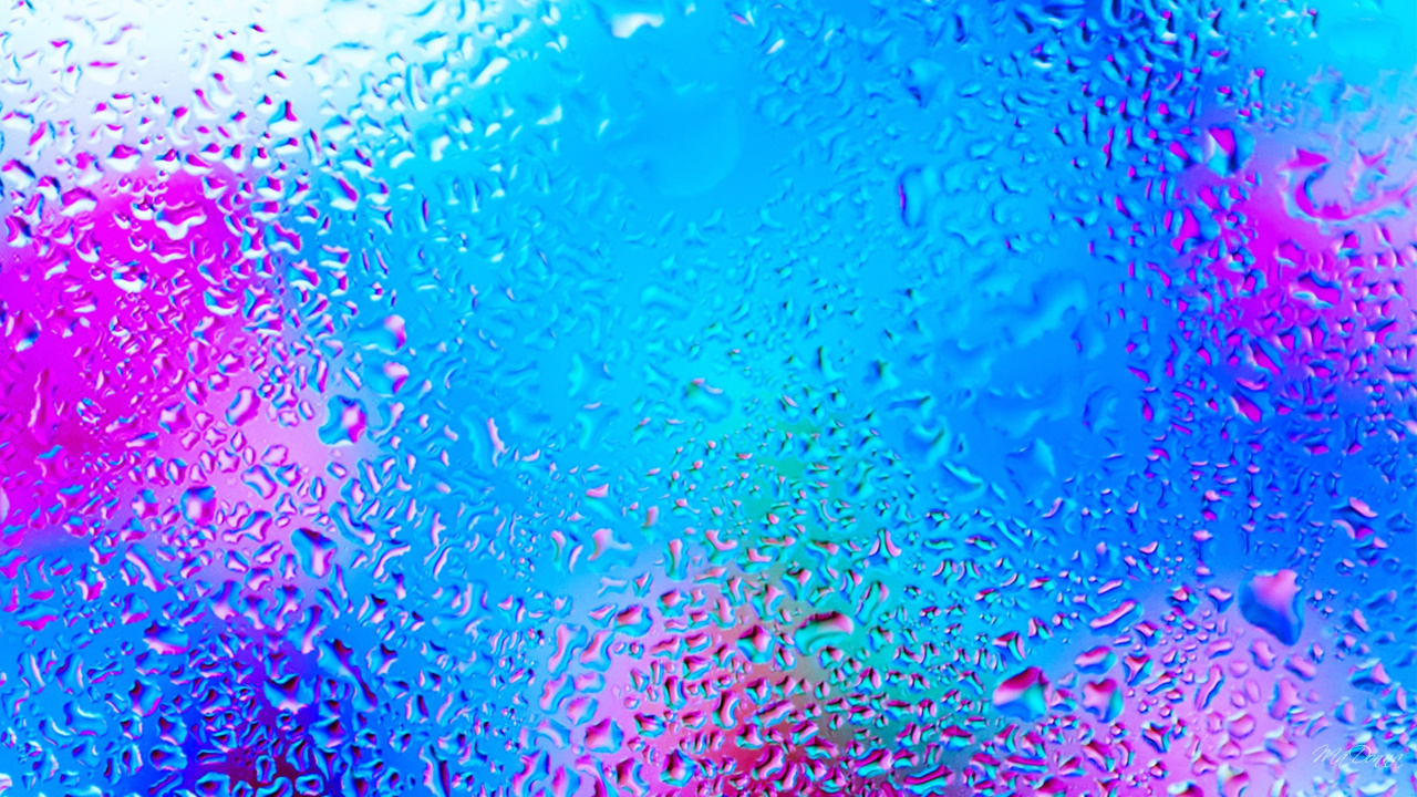Gotas de Agua Sobre el Vidrio Durante el Día. Wallpaper in 1280x720 Resolution