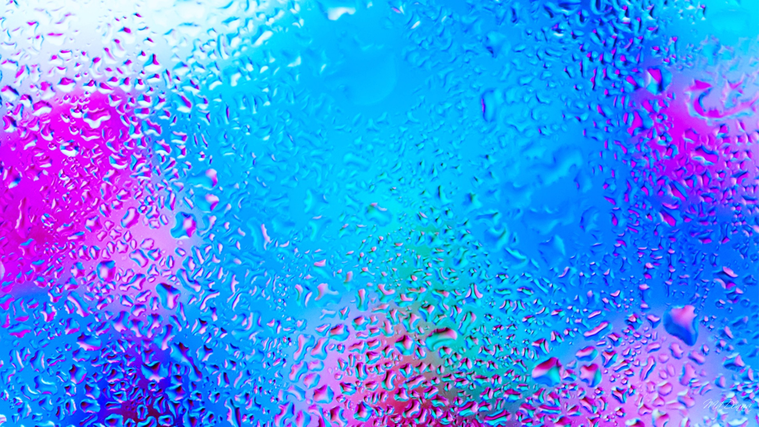 Wassertropfen Auf Glas Tagsüber. Wallpaper in 2560x1440 Resolution
