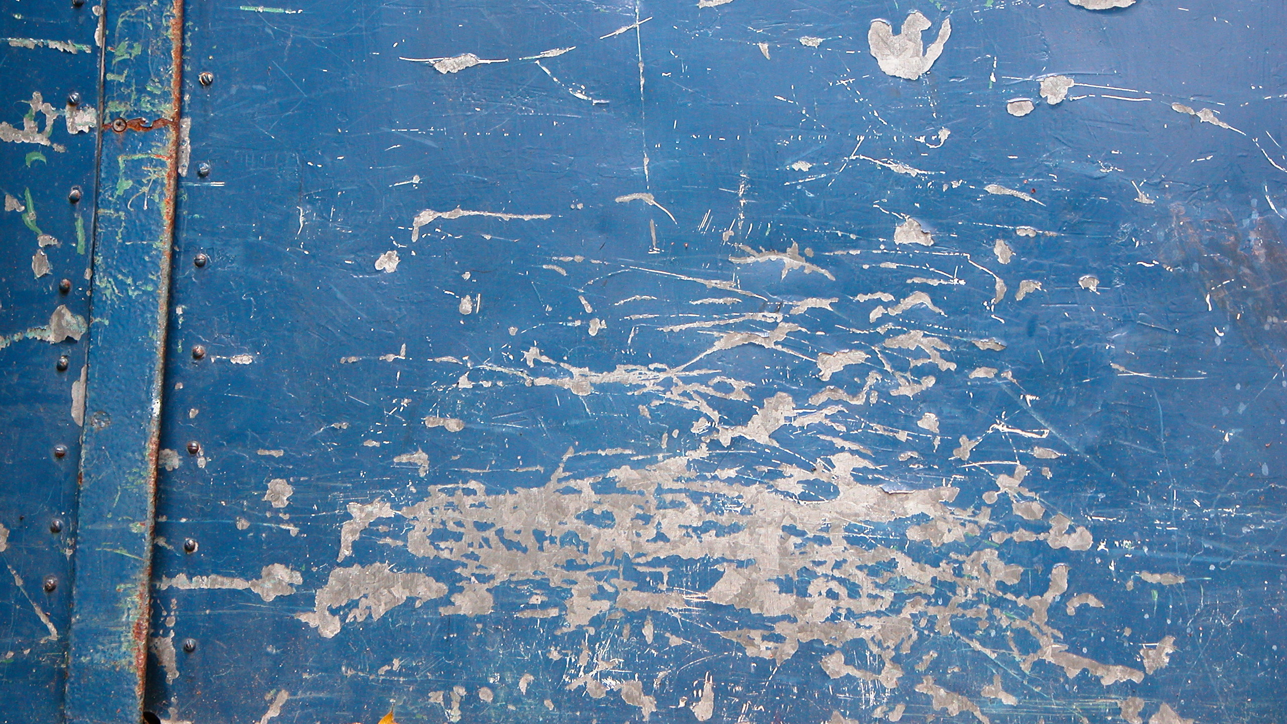 Blau-weißes Holzbrett. Wallpaper in 2560x1440 Resolution