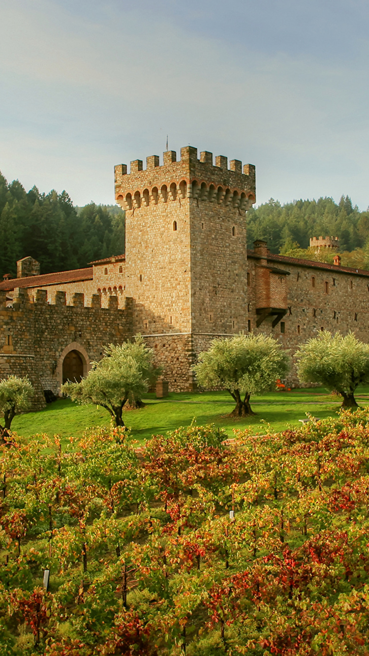 Brown Brick Castle on Green Grass Field Under Blue Sky During Daytime. Wallpaper in 750x1334 Resolution
