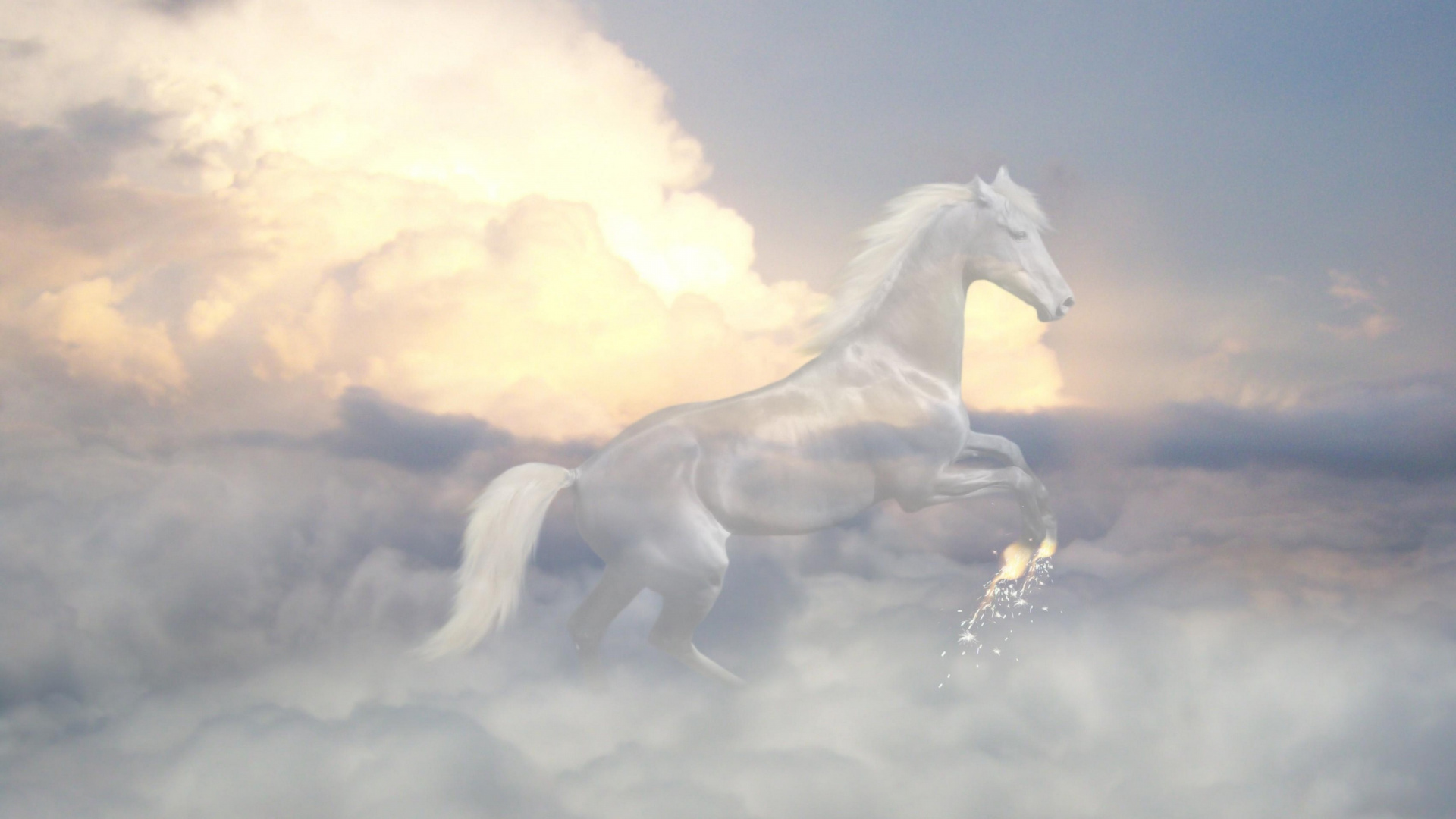 Caballo Blanco Corriendo en Las Nubes. Wallpaper in 1920x1080 Resolution