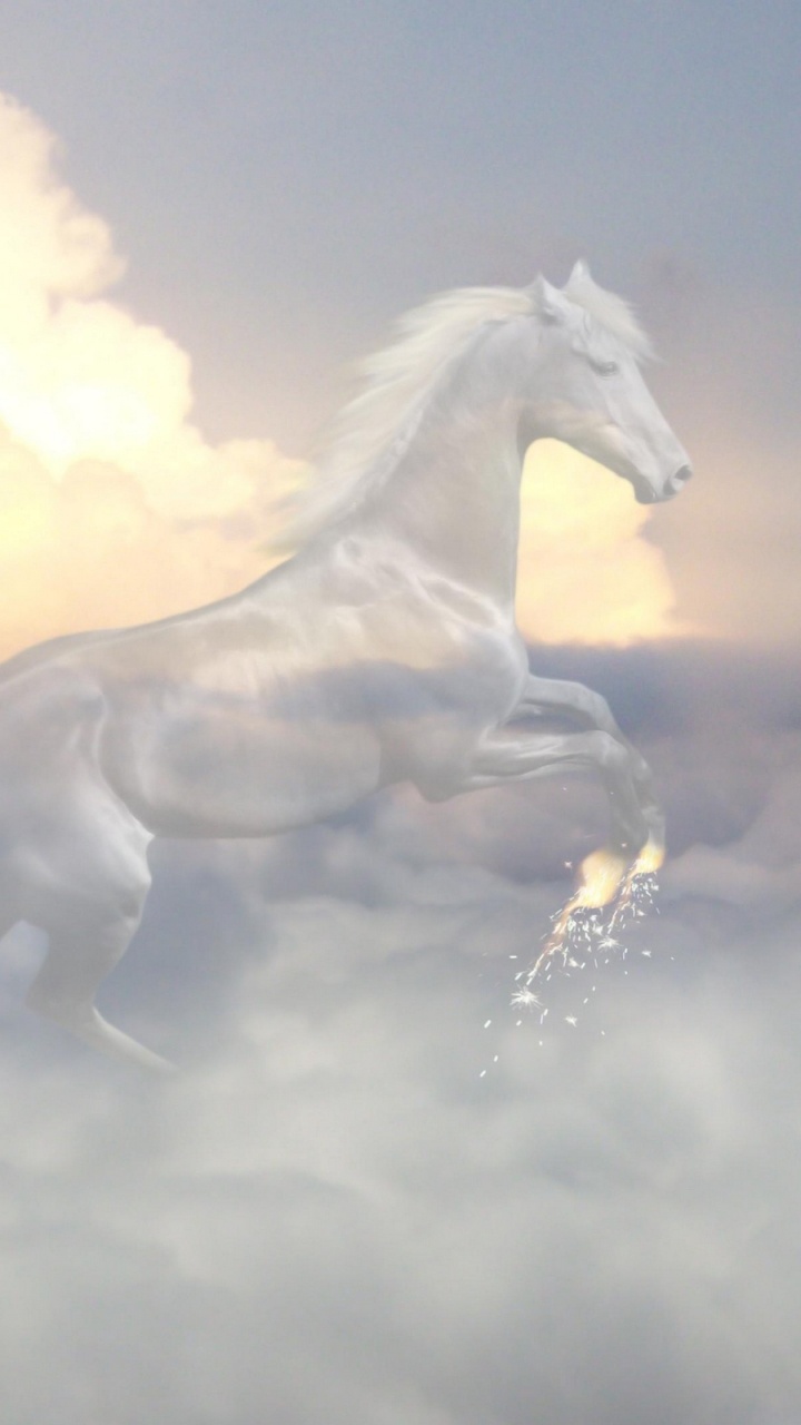 Caballo Blanco Corriendo en Las Nubes. Wallpaper in 720x1280 Resolution