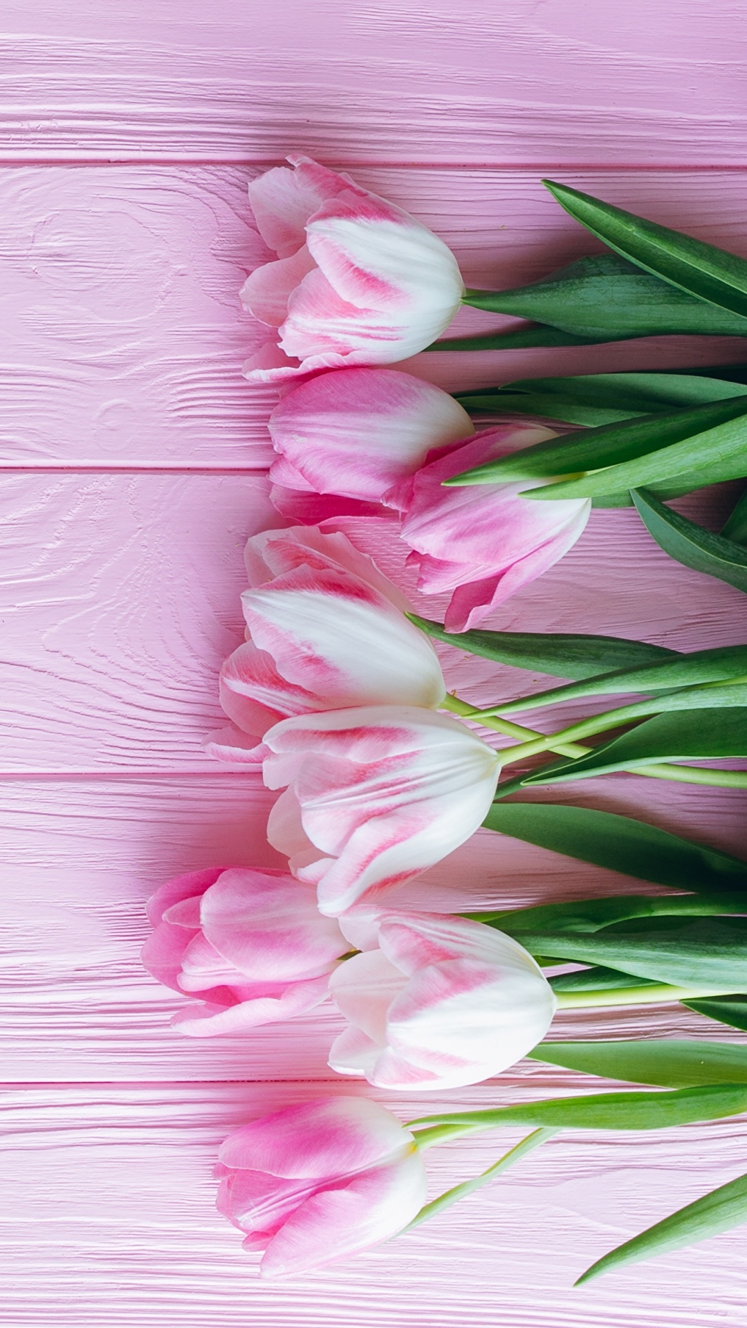 Pink and White Flowers on Pink Wooden Surface. Wallpaper in 1080x1920 Resolution