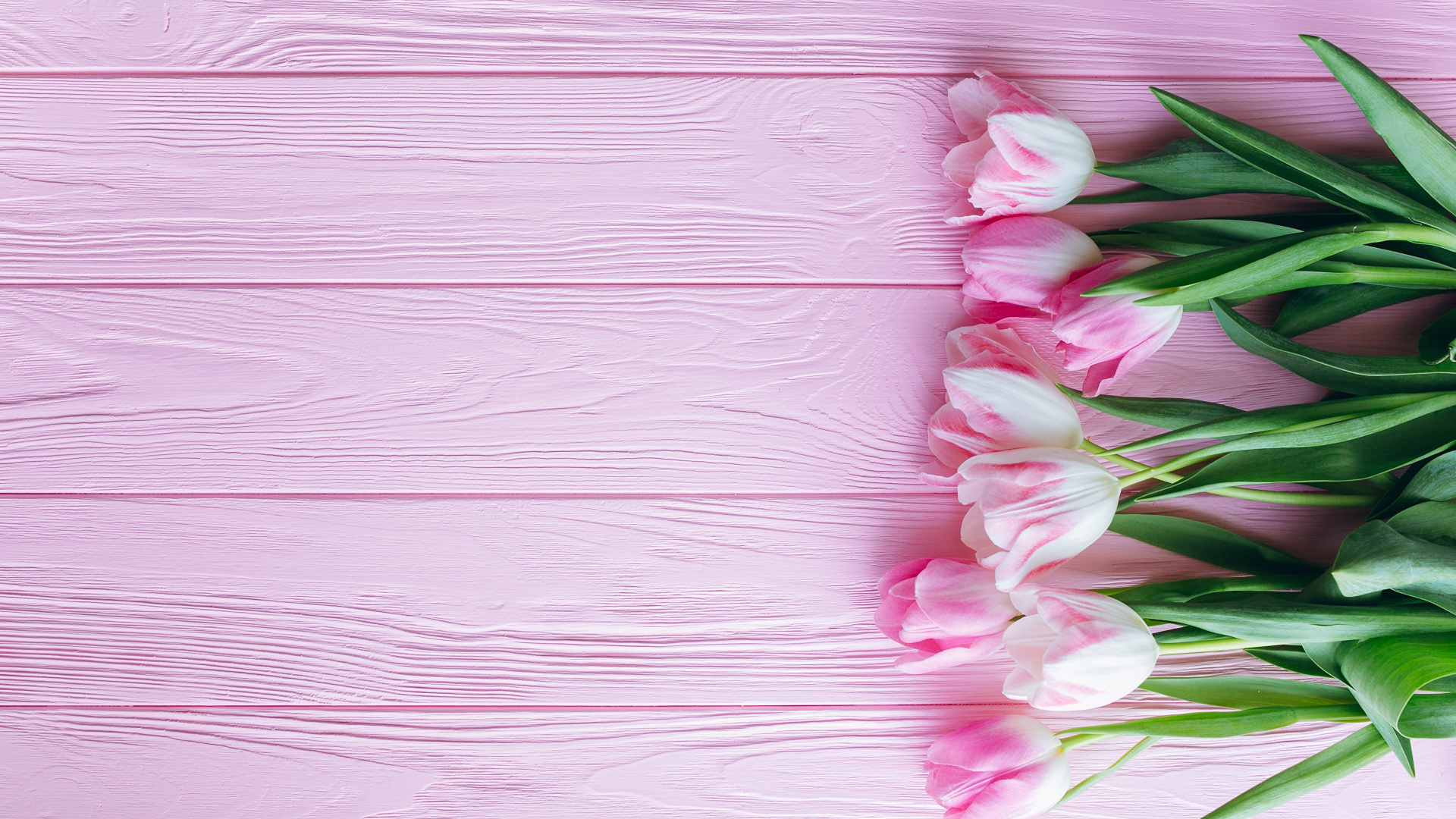 Pink and White Flowers on Pink Wooden Surface. Wallpaper in 1920x1080 Resolution