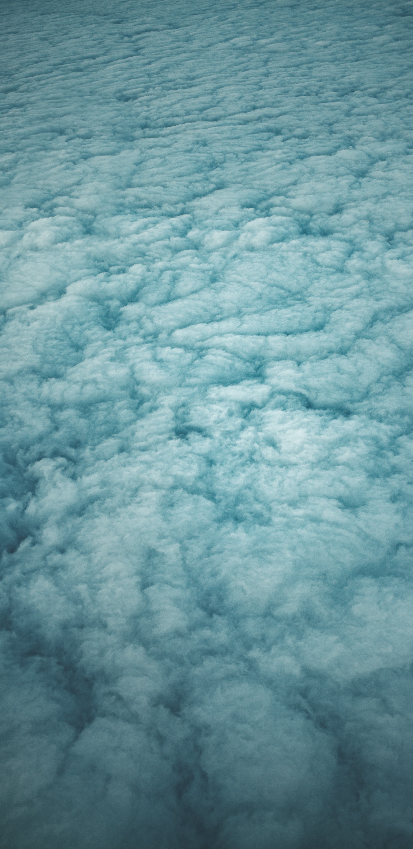 Wasser, Cloud, Meer, Nachthimmel, Himmel. Wallpaper in 1440x2960 Resolution