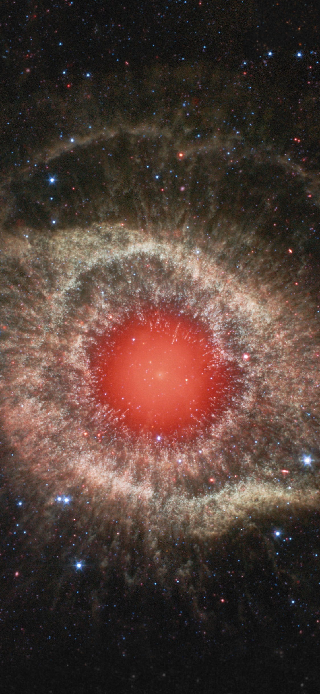 Rotes Licht Auf Schwarzem Hintergrund. Wallpaper in 1125x2436 Resolution