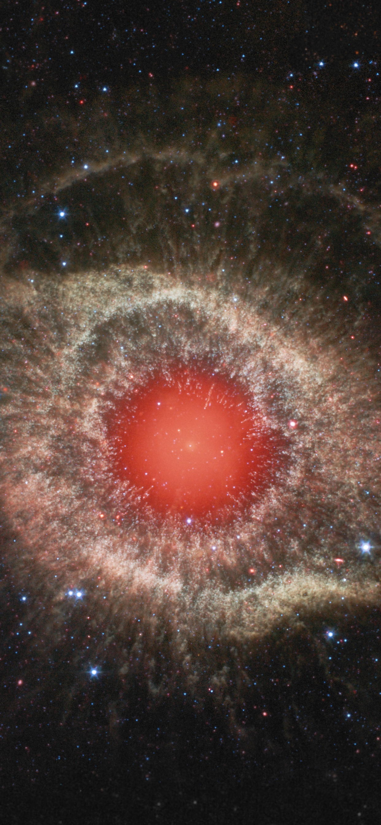 Feu Rouge Sur Fond Noir. Wallpaper in 1242x2688 Resolution