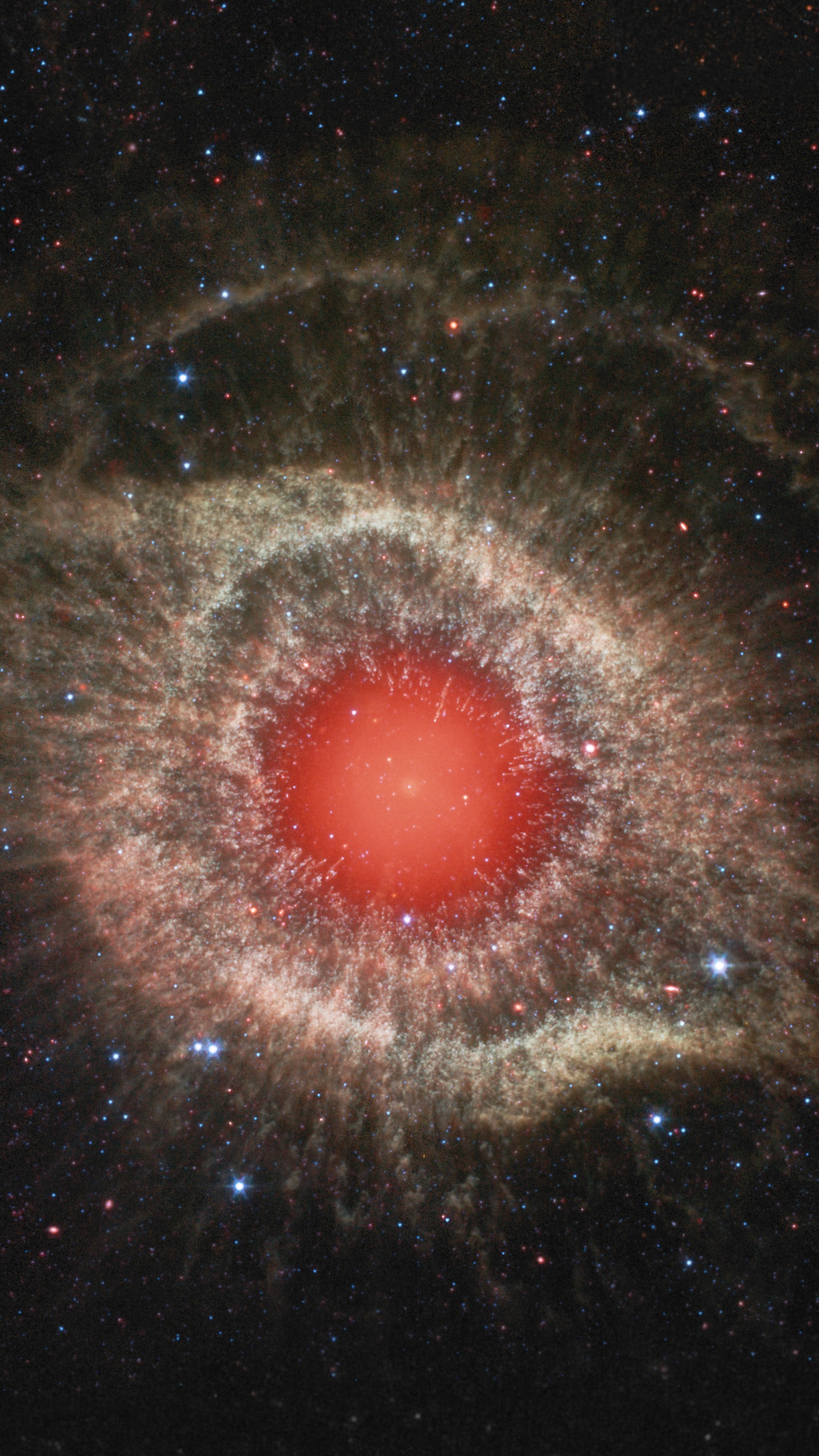 Luz Roja Sobre Fondo Negro. Wallpaper in 1440x2560 Resolution