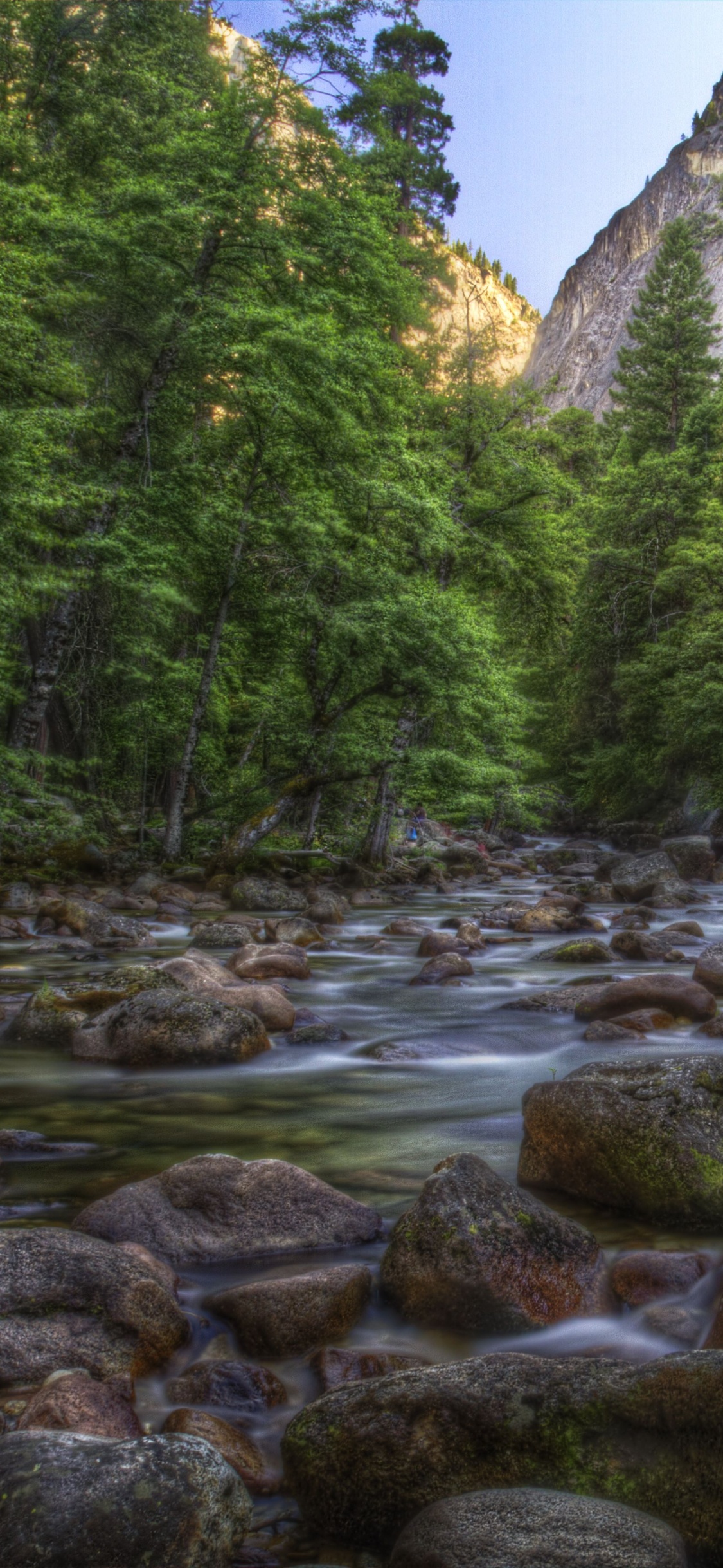 Green Trees Near River During Daytime. Wallpaper in 1125x2436 Resolution