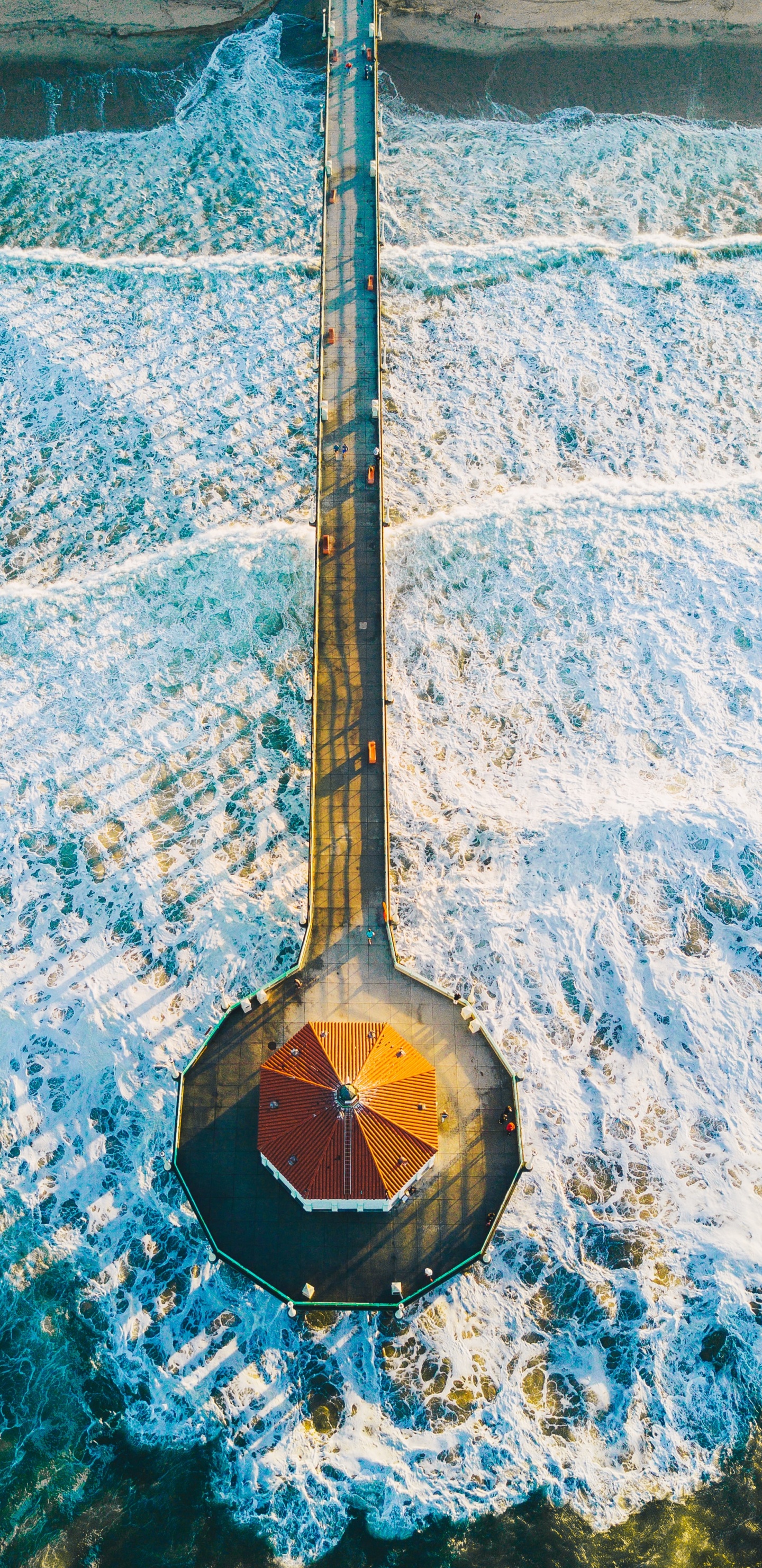Instrumento Musical, Instrumento de Cuerda, Guitarra Accesorio, Instrumentos de Cuerda Pulsada, Torre. Wallpaper in 1440x2960 Resolution