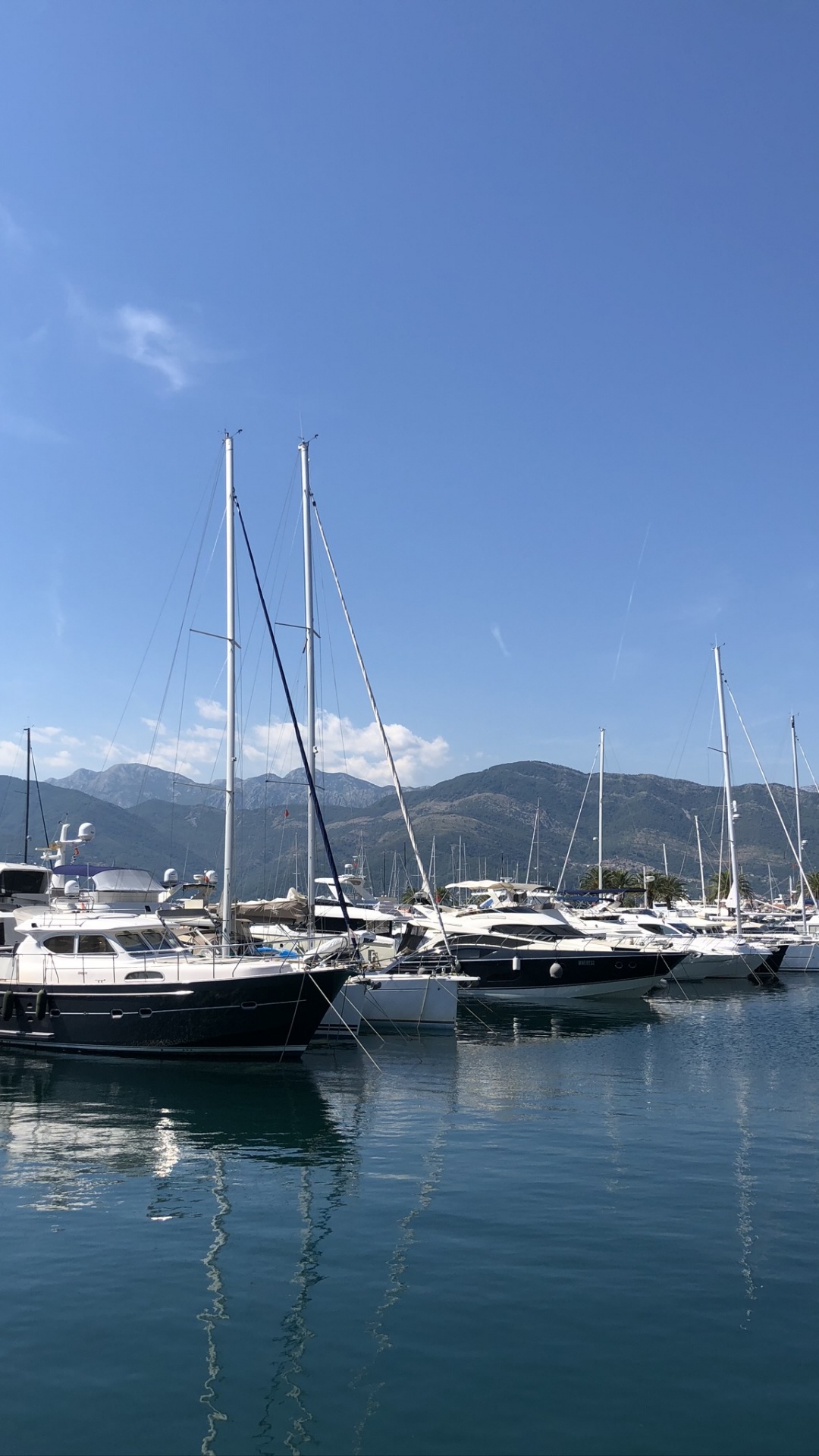 Marina, Sail, Yacht, Mast, Body of Water. Wallpaper in 1080x1920 Resolution