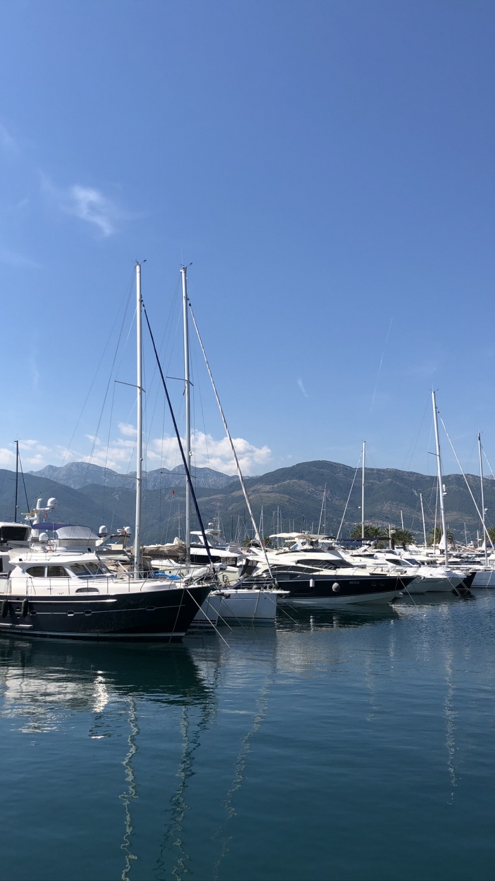 Marina, Sail, Yacht, Mast, Body of Water. Wallpaper in 720x1280 Resolution