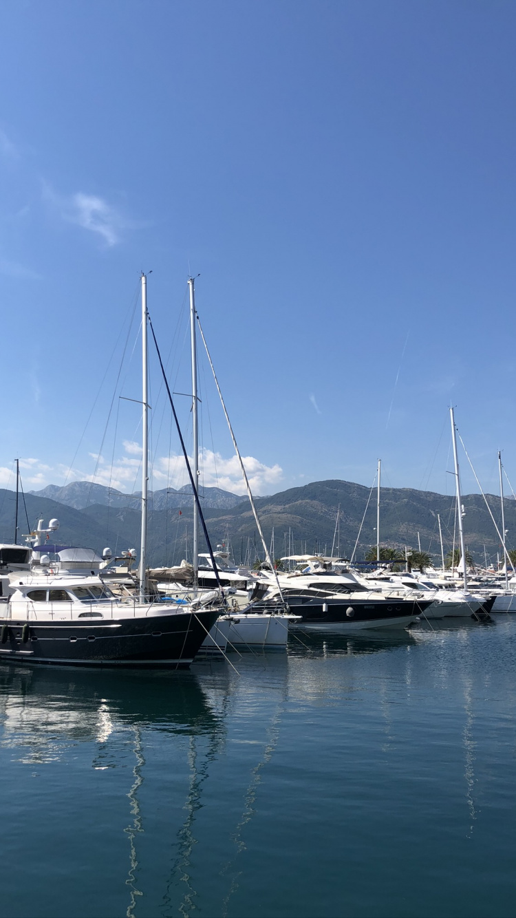 Marina, Segel, Yacht, Mast, Gewässer. Wallpaper in 750x1334 Resolution