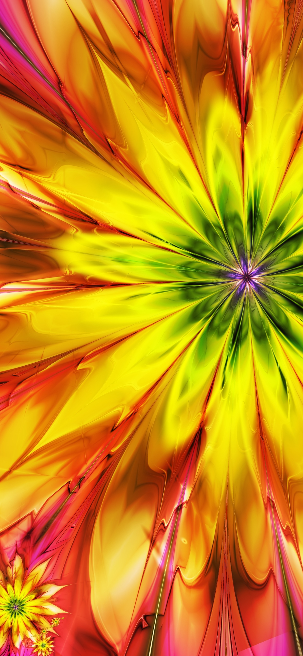 Yellow and Pink Flower in Close up Photography. Wallpaper in 1242x2688 Resolution