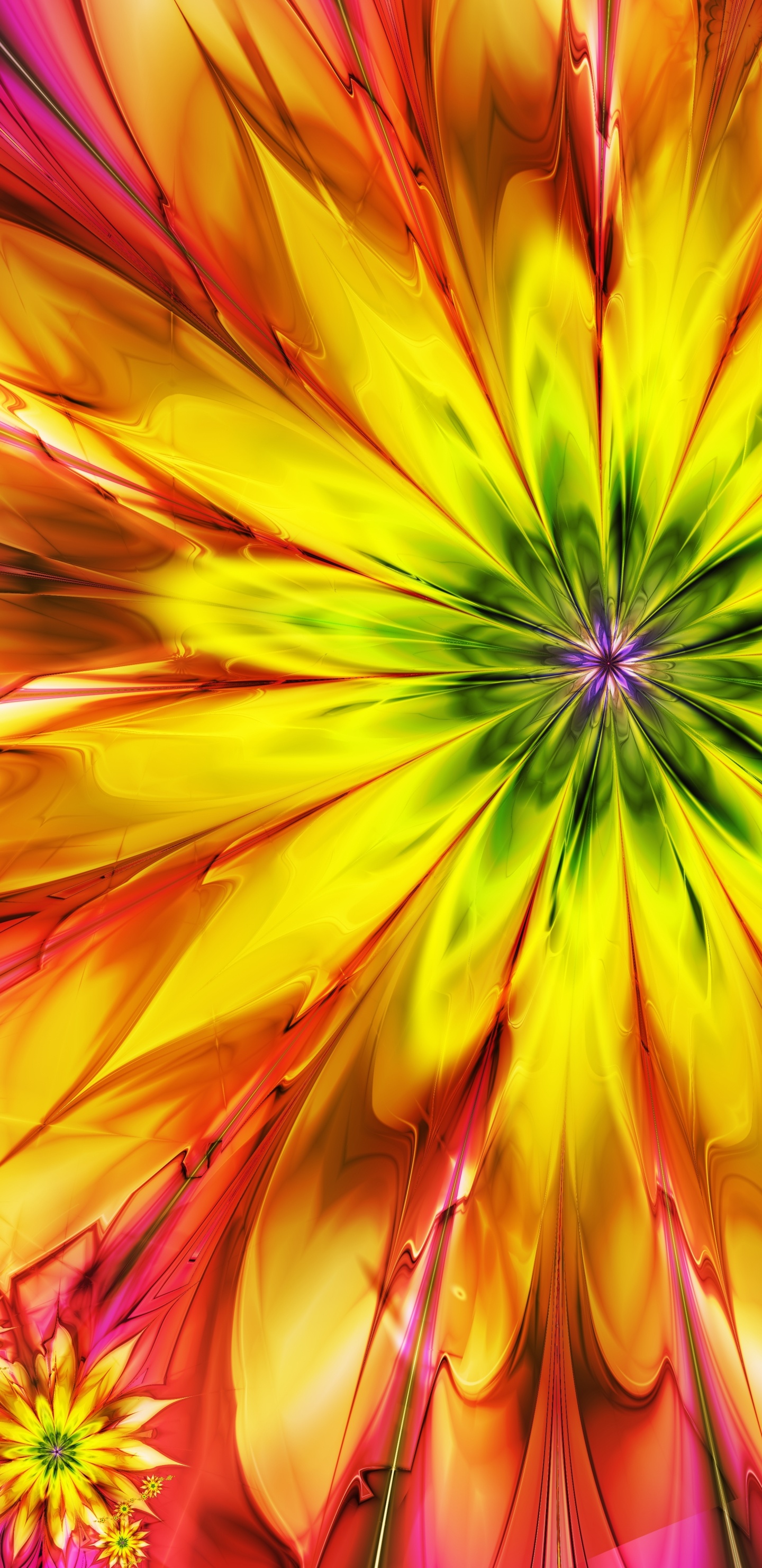 Yellow and Pink Flower in Close up Photography. Wallpaper in 1440x2960 Resolution