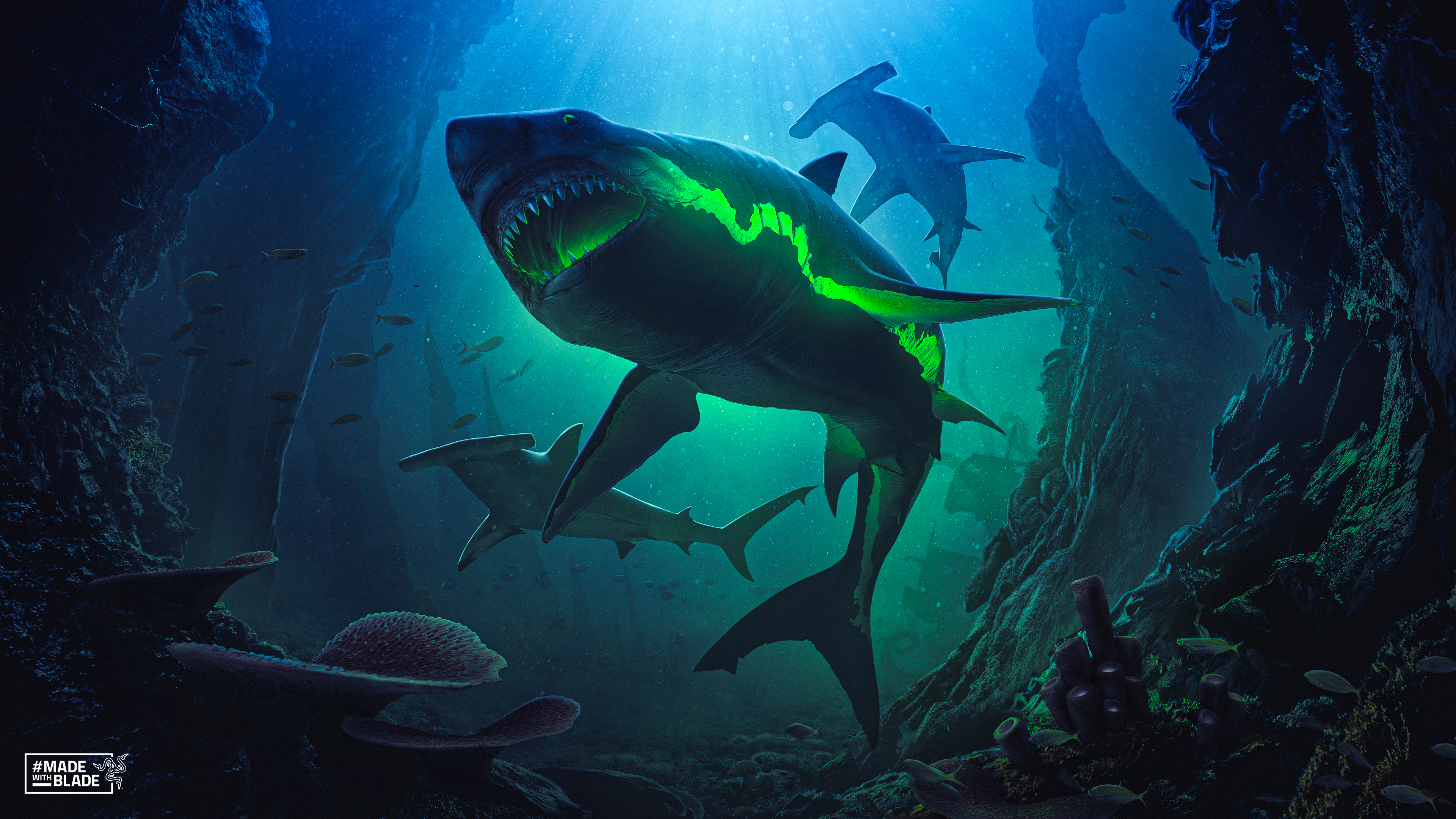 Sharks, Great White Shark, IMac, Wasser, Tauchen. Wallpaper in 3840x2160 Resolution