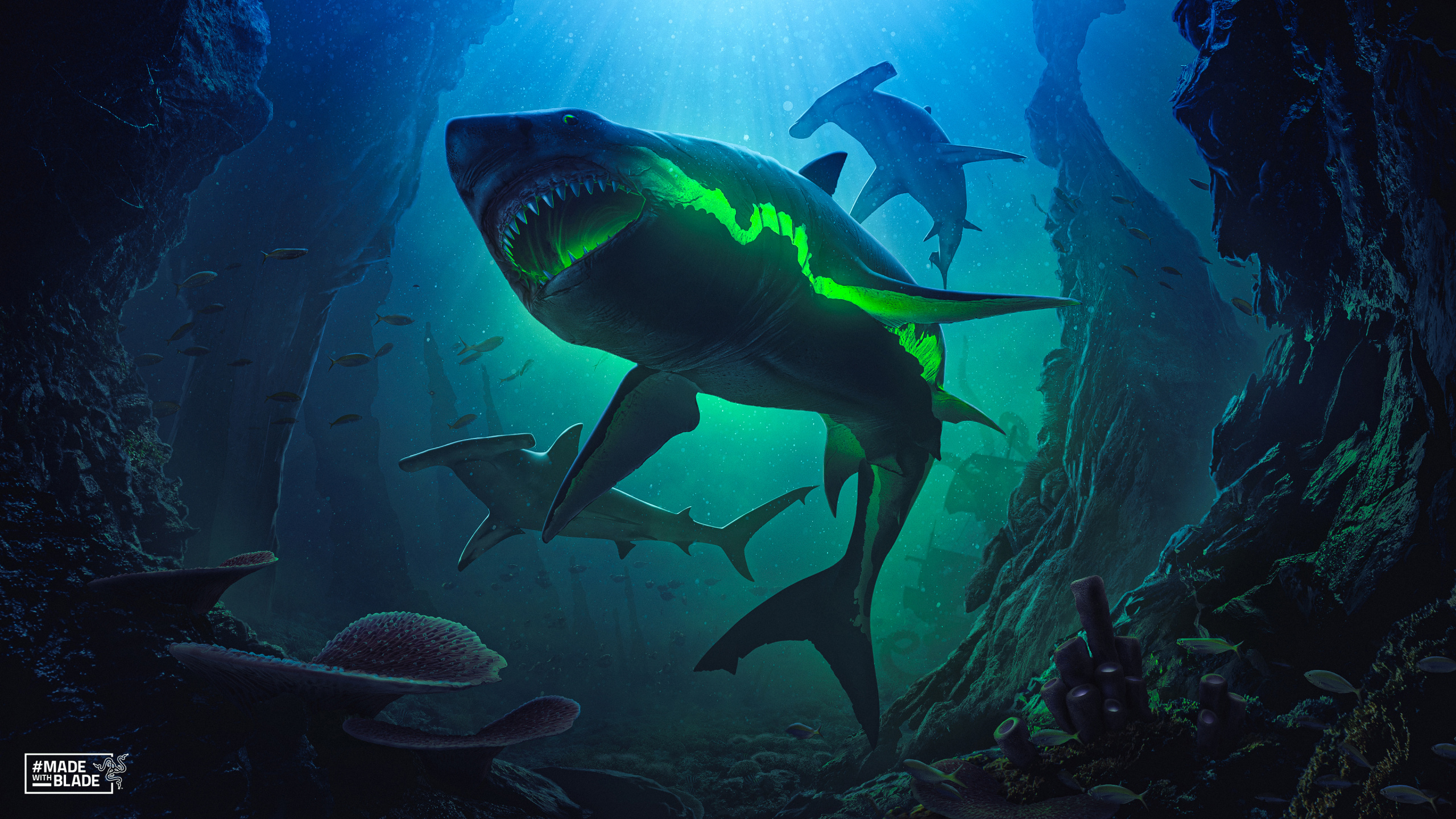 Sharks, Great White Shark, IMac, Water, Scuba Diving. Wallpaper in 2560x1440 Resolution