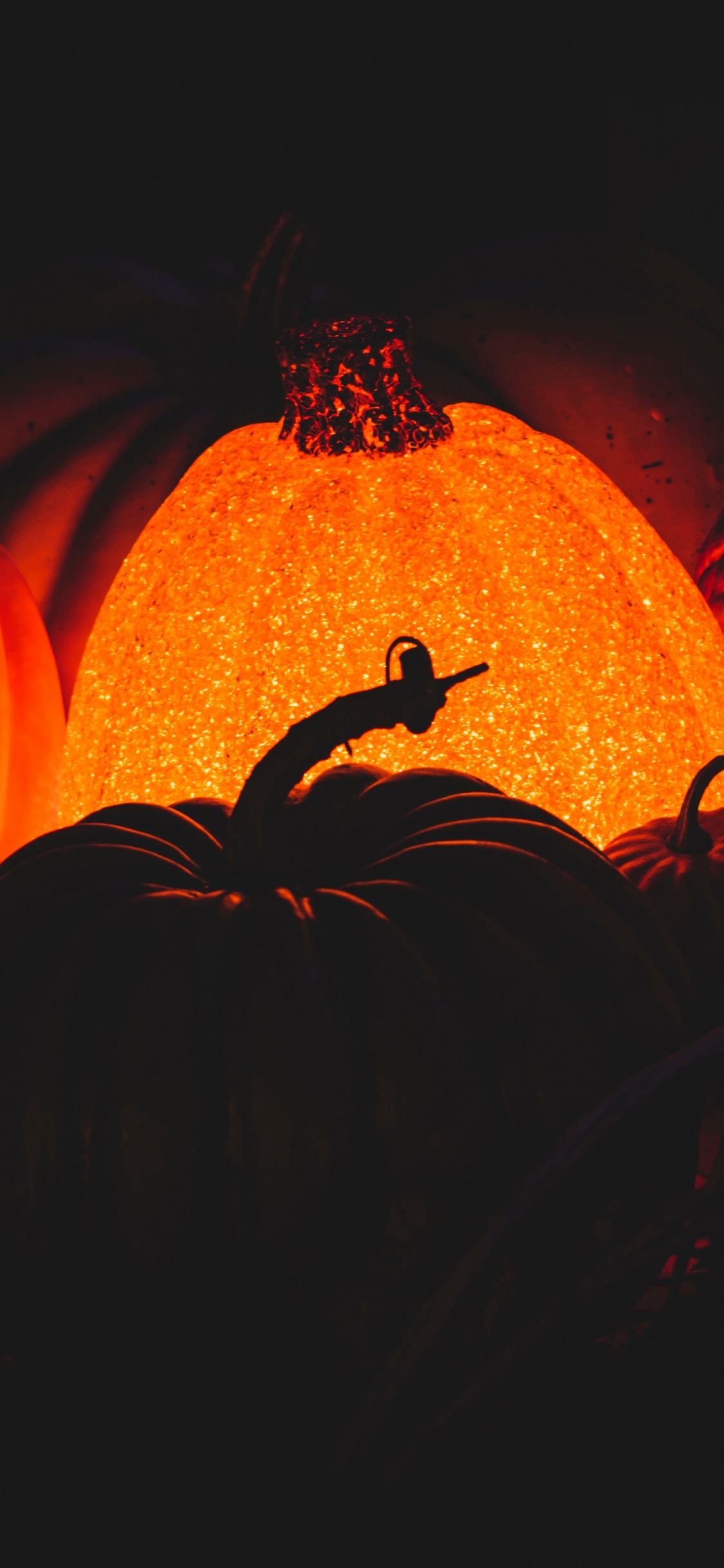 Calabaza Naranja Sobre Superficie Marrón. Wallpaper in 1125x2436 Resolution