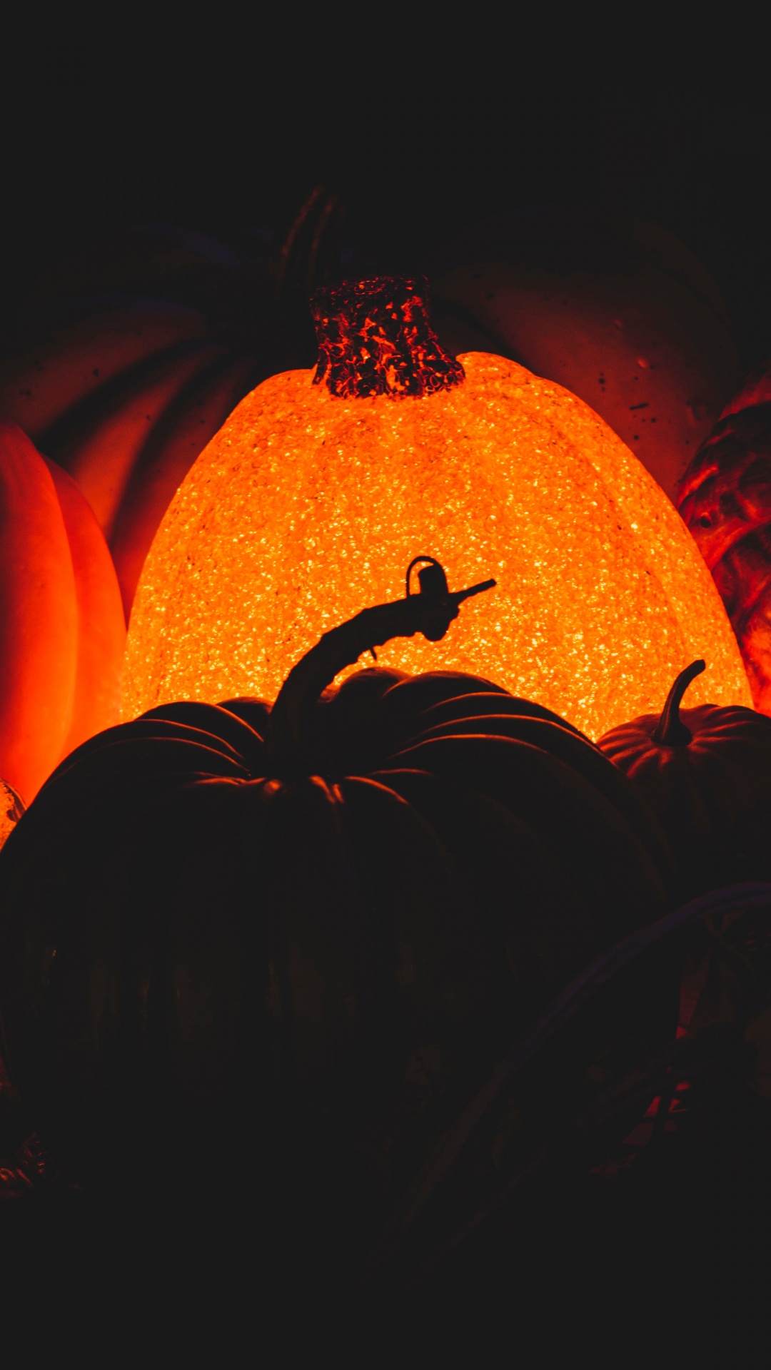 热, 橙色, Calabaza, 火焰, 艺术 壁纸 1080x1920 允许