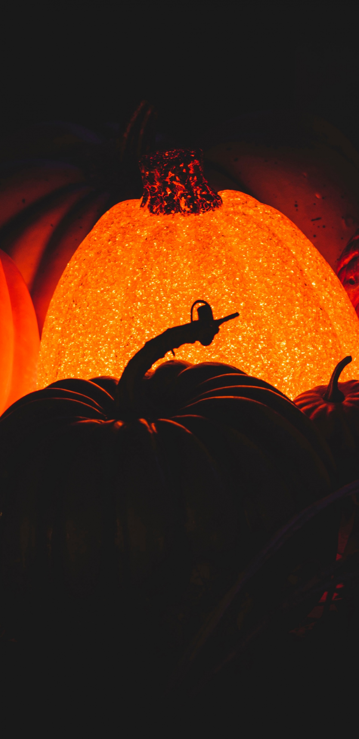 热, 橙色, Calabaza, 火焰, 艺术 壁纸 1440x2960 允许