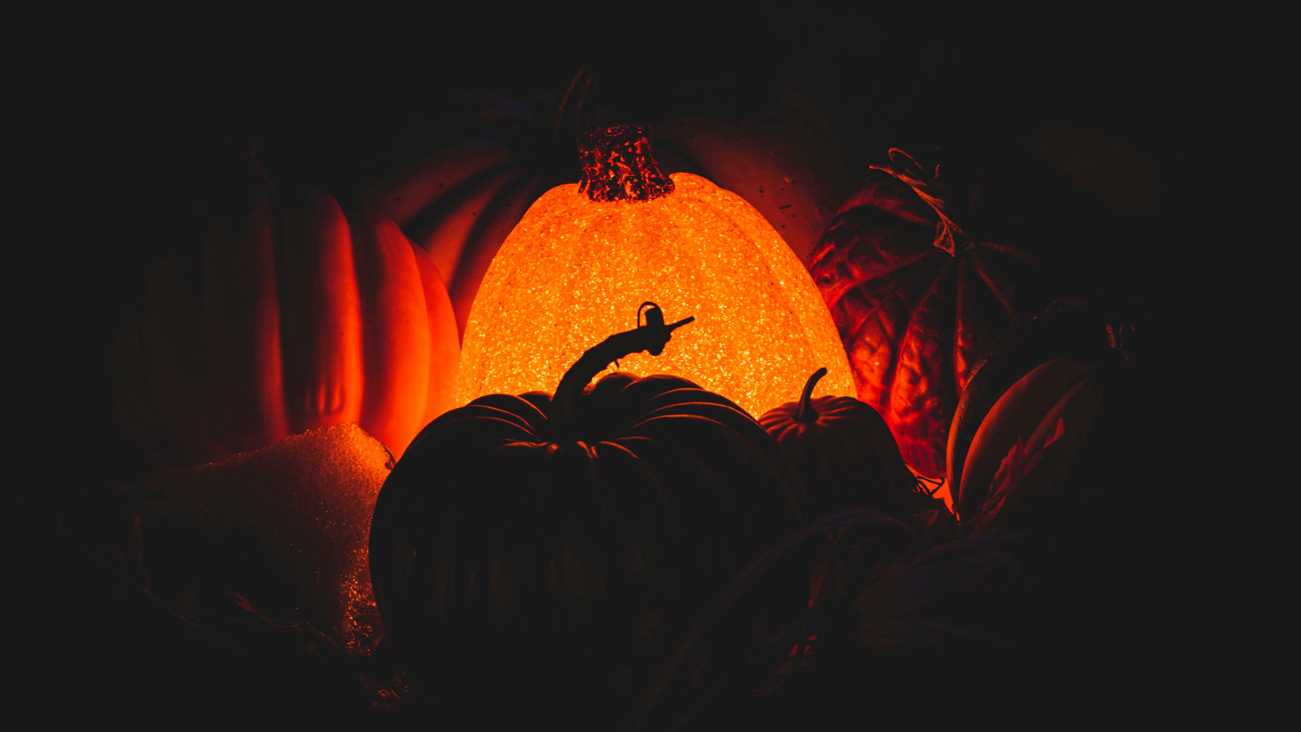 热, 橙色, Calabaza, 火焰, 艺术 壁纸 2560x1440 允许