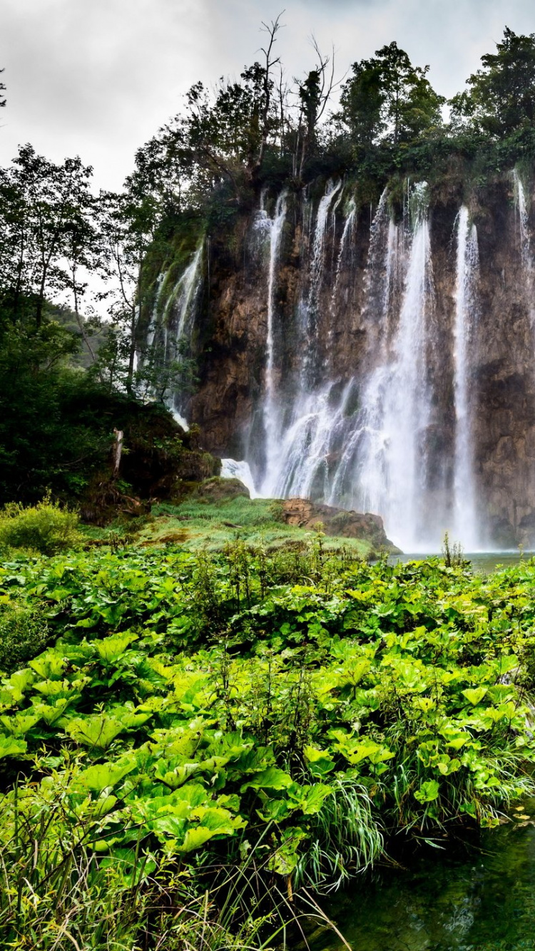 Waterfalls in The Middle of Green Grass Field. Wallpaper in 750x1334 Resolution