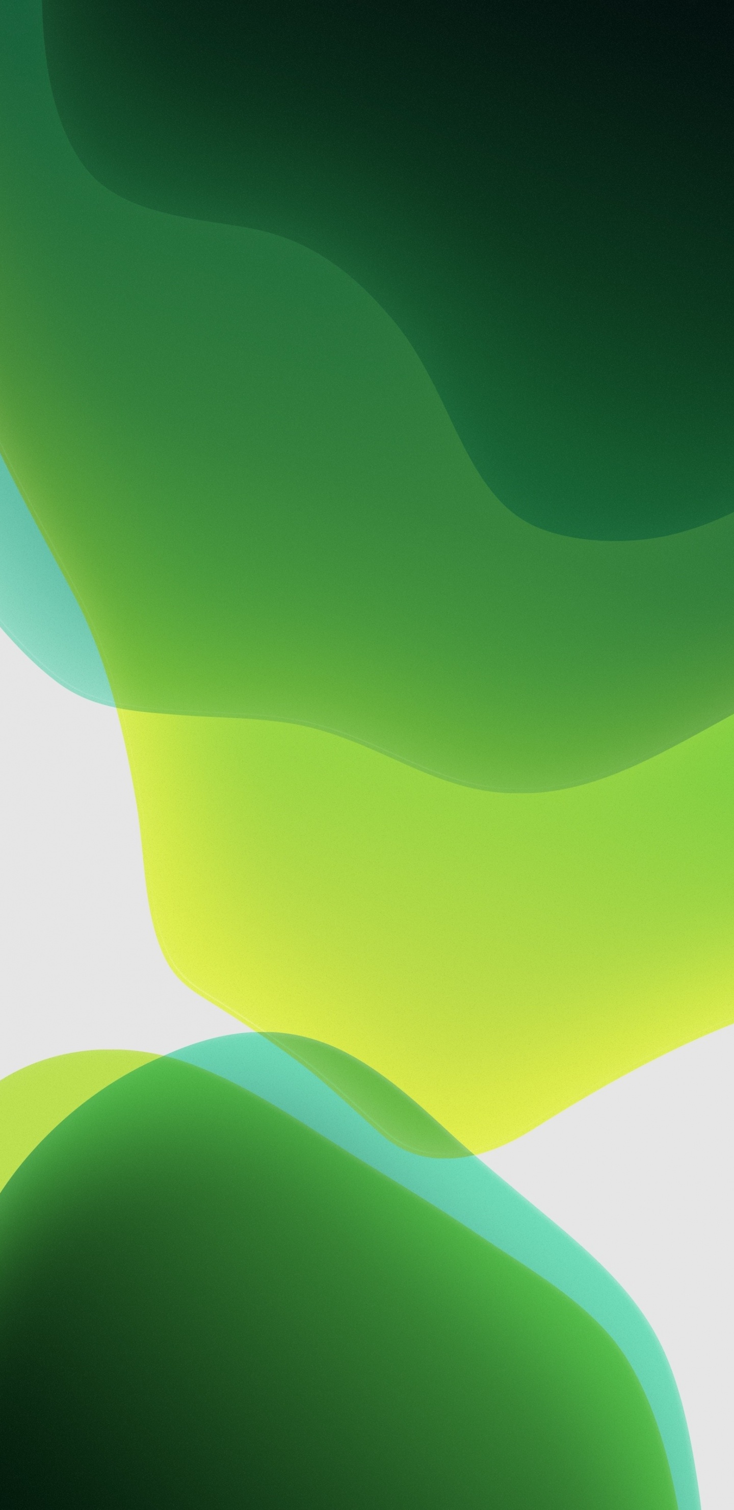 IOS 13, Ios, Apples, Colorfulness, Azure. Wallpaper in 1440x2960 Resolution