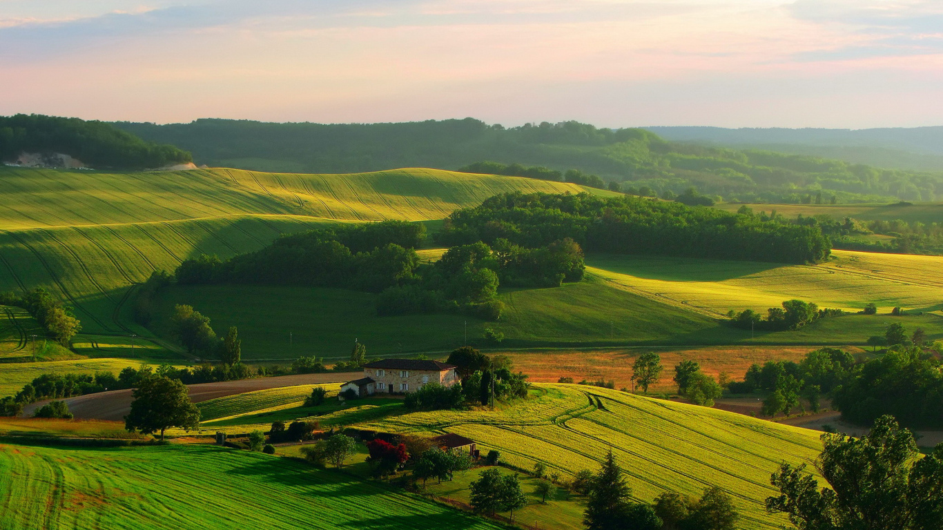 Tagsüber Grüne Wiese Unter Weißem Himmel. Wallpaper in 1366x768 Resolution