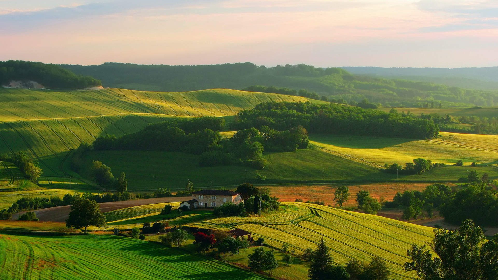 Tagsüber Grüne Wiese Unter Weißem Himmel. Wallpaper in 1920x1080 Resolution