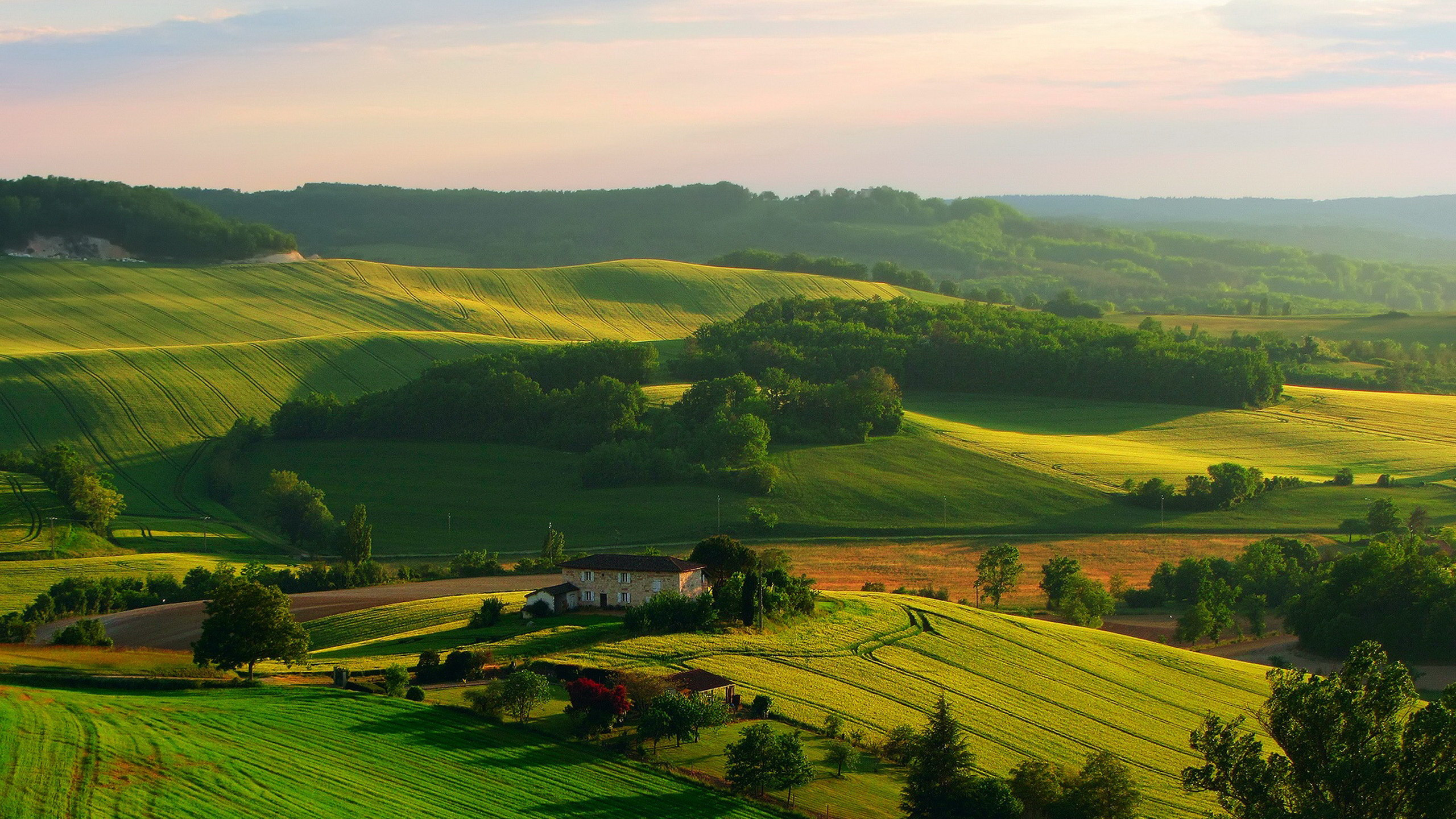 Tagsüber Grüne Wiese Unter Weißem Himmel. Wallpaper in 2560x1440 Resolution