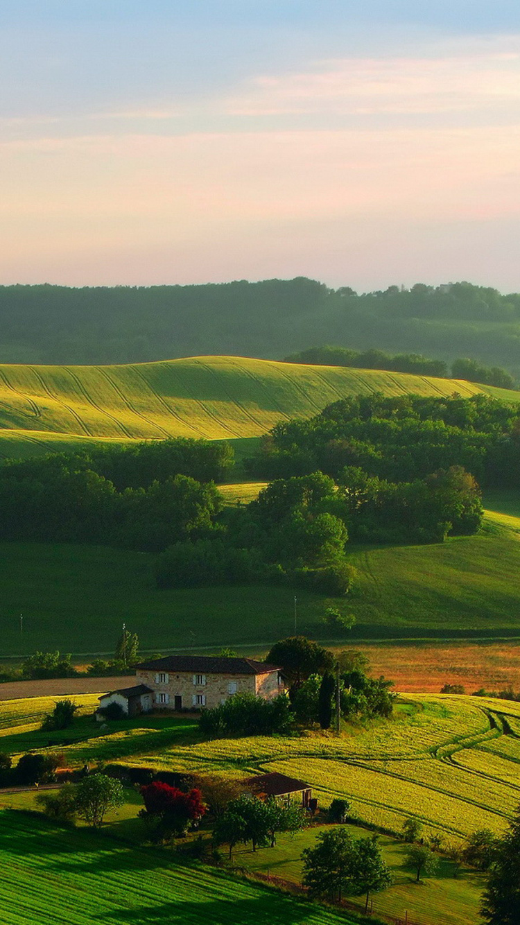 Green Grass Field Under White Sky During Daytime. Wallpaper in 750x1334 Resolution