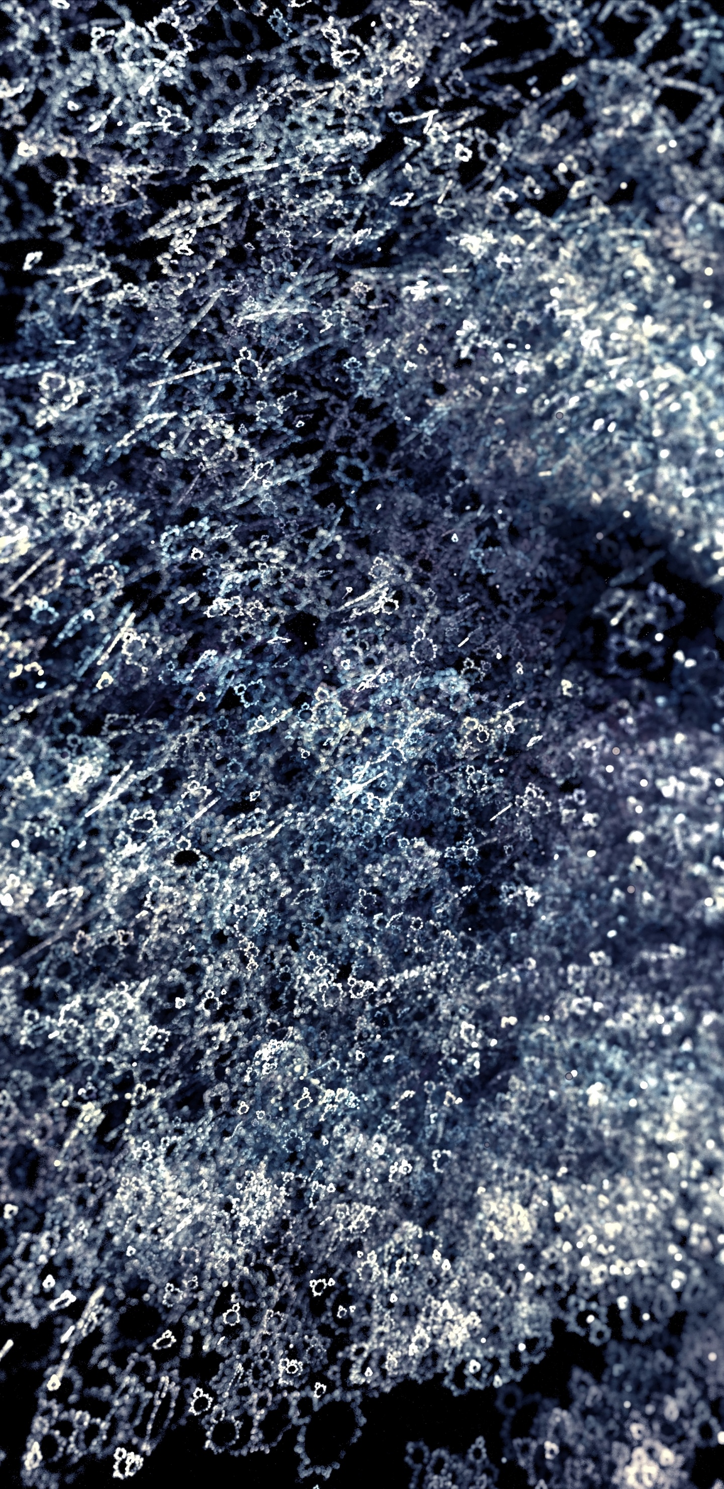 的土壤, 冬天 壁纸 1440x2960 允许