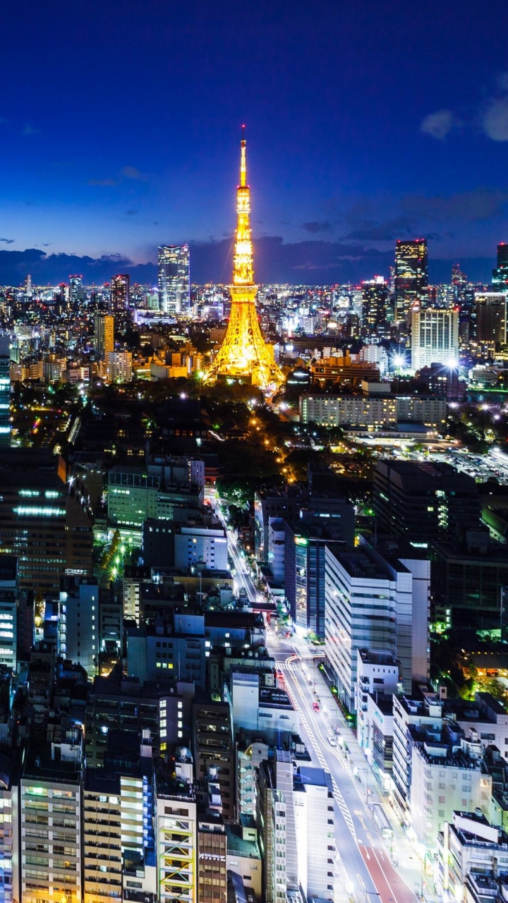 City With High Rise Buildings During Night Time. Wallpaper in 720x1280 Resolution