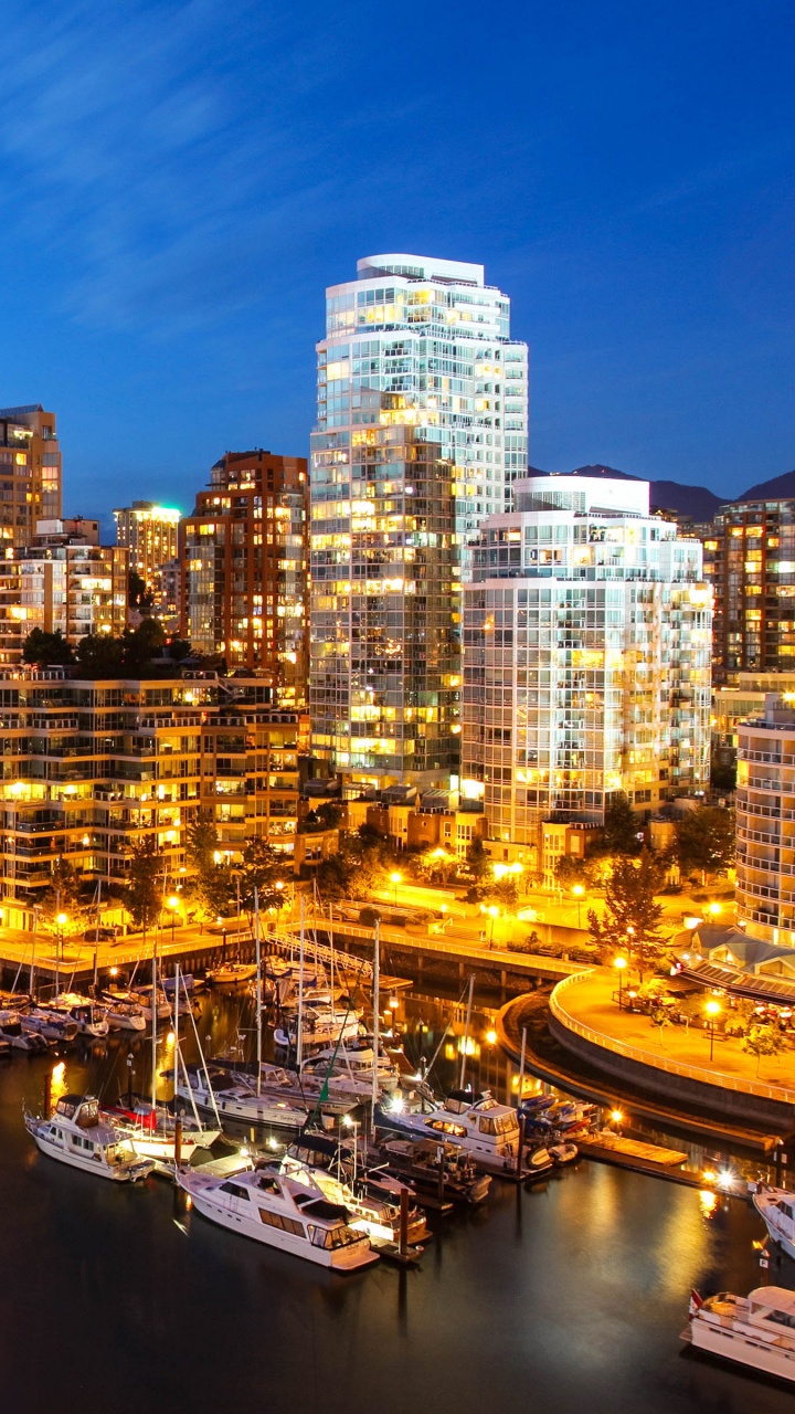 Horizon de la Ville à Travers le Plan D'eau Pendant la Nuit. Wallpaper in 720x1280 Resolution